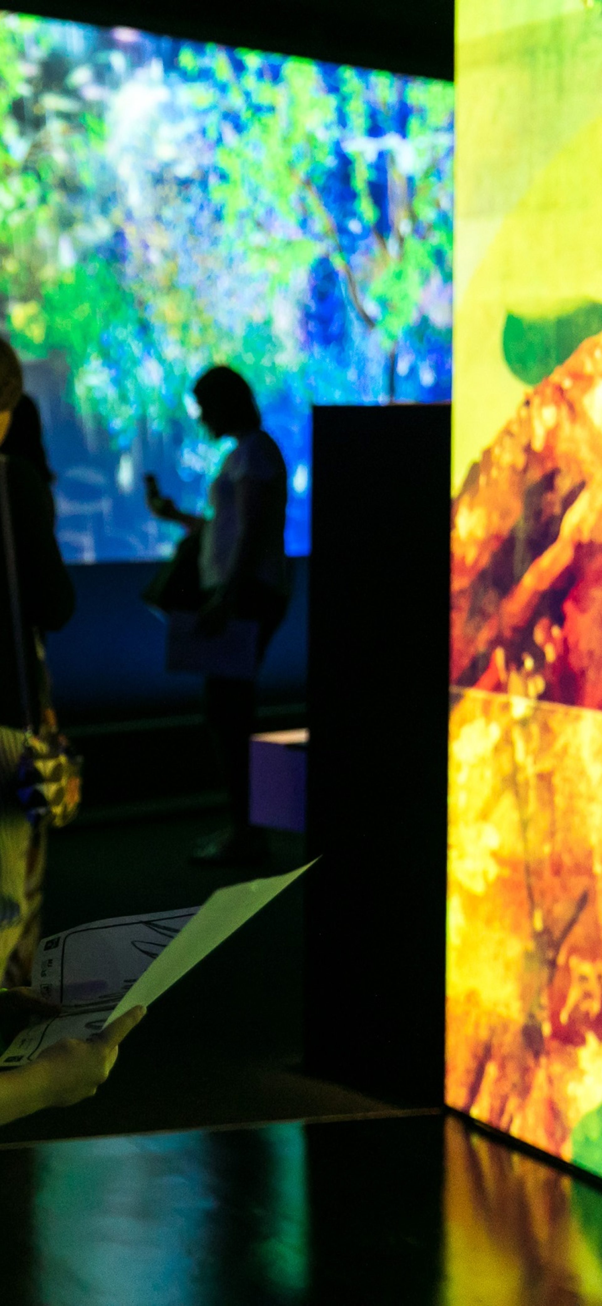 Museum Audio Visual Displays