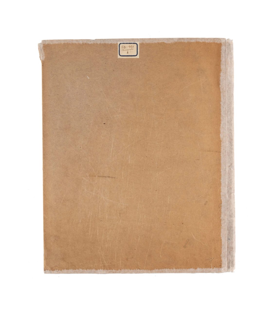 'Native Flora of NSW' Book by J.H. Maiden