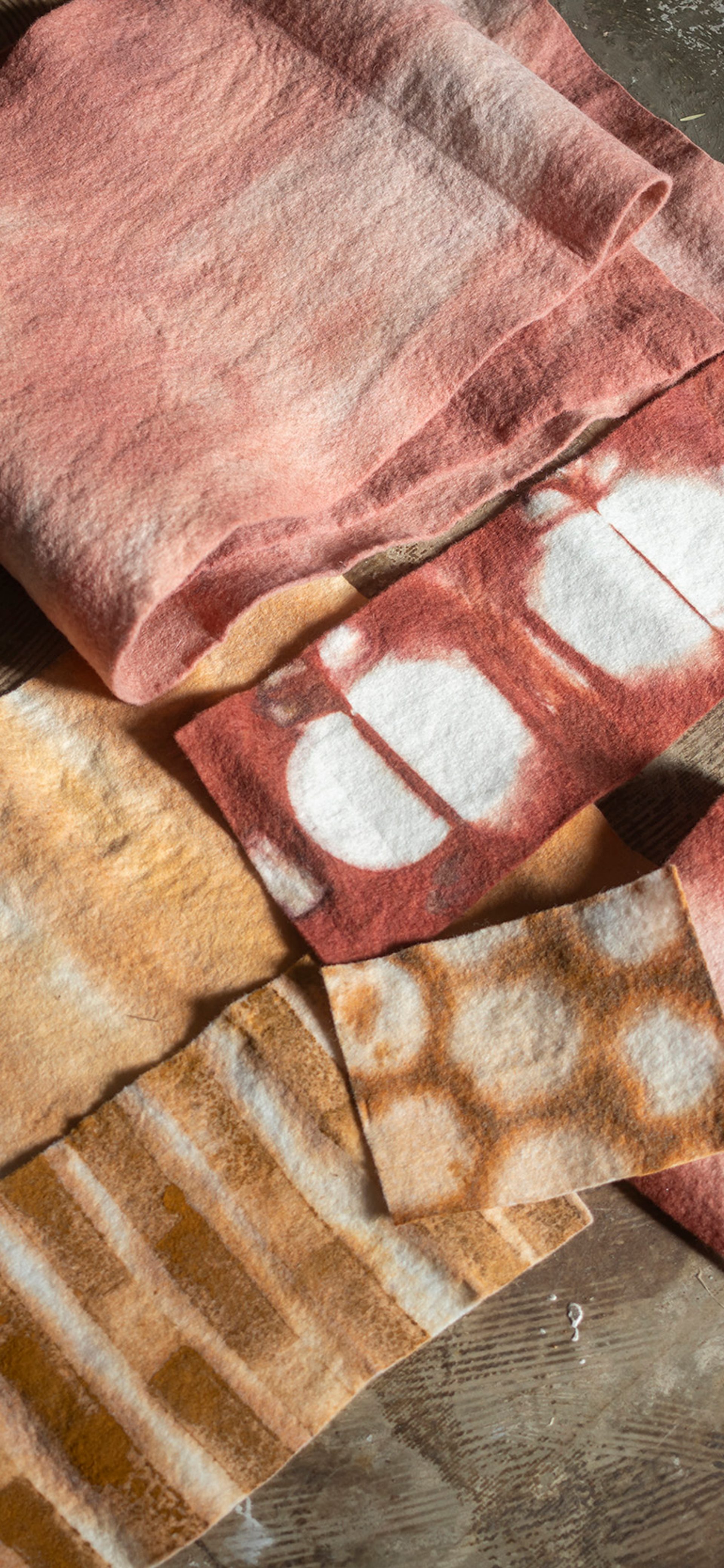 Alchemy Family Tours