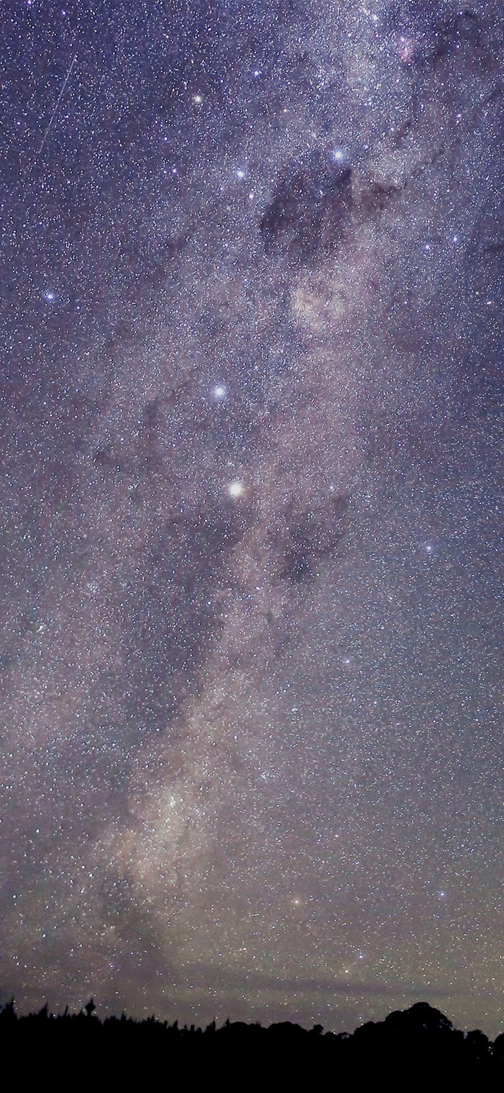 Custodianship of Sky Country and Sydney Observatory