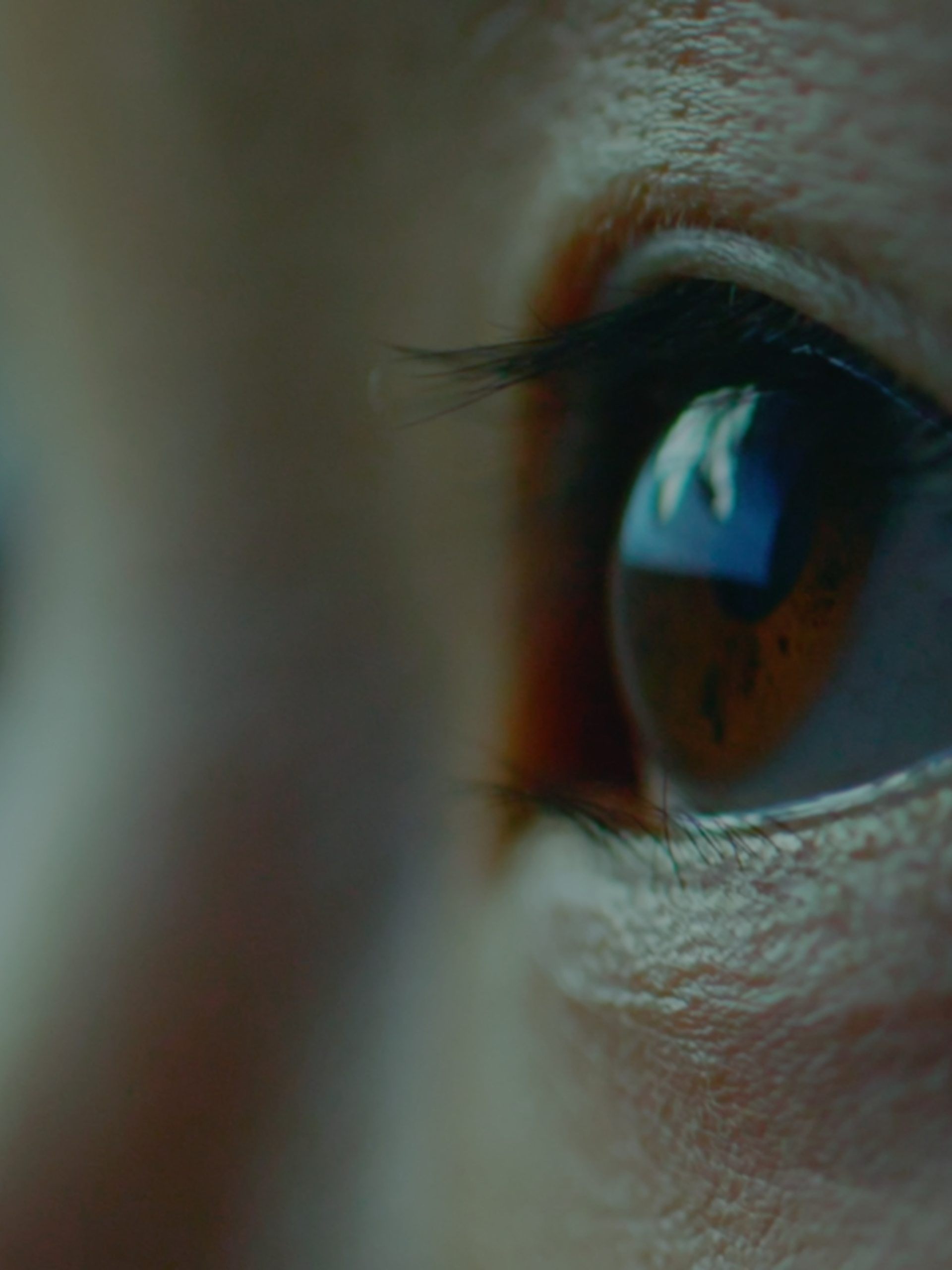 Close up of eyes looking upwards with the corner of a screen reflected in the eye