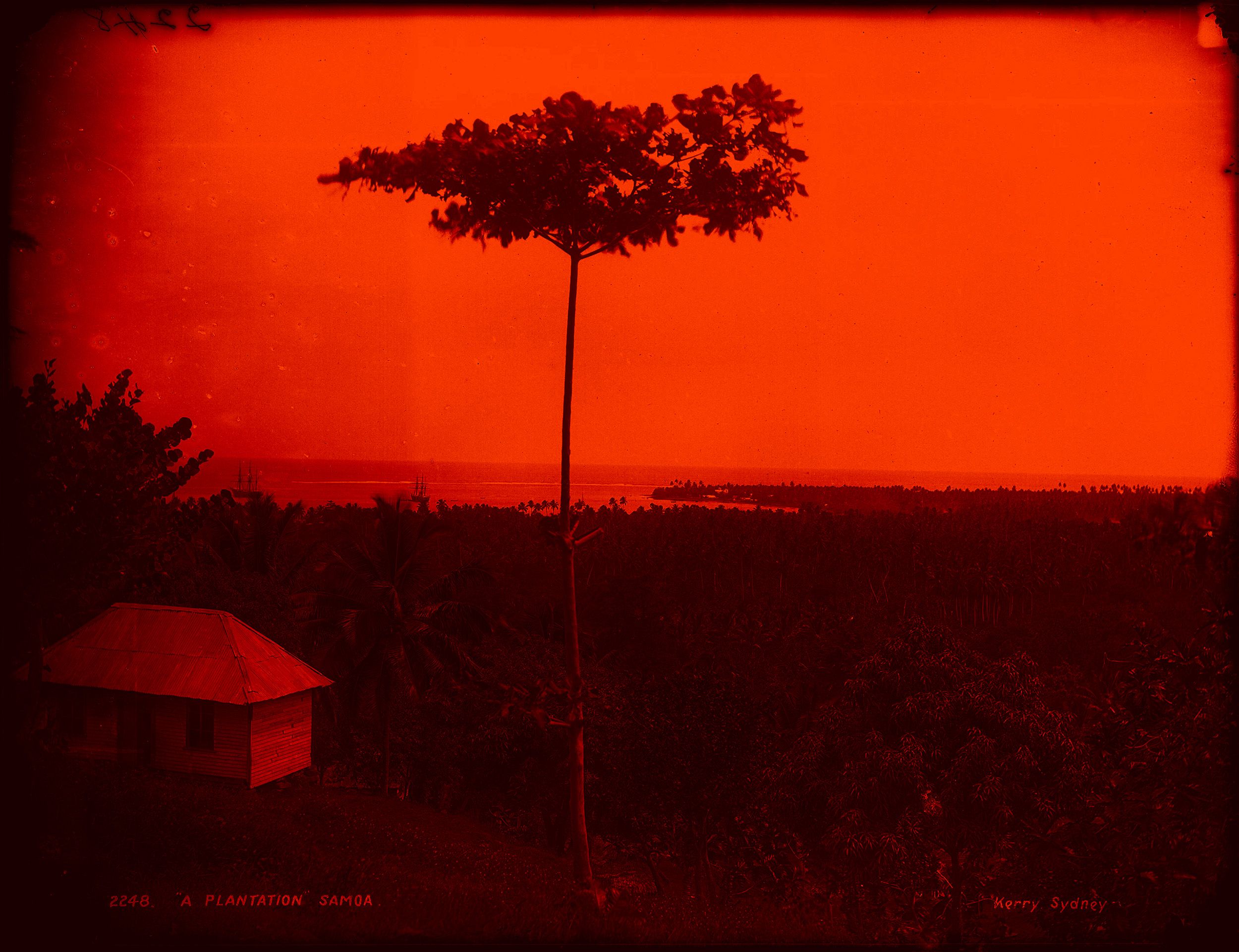 A small wooden house with corrugated iron roof sitting on a hill.