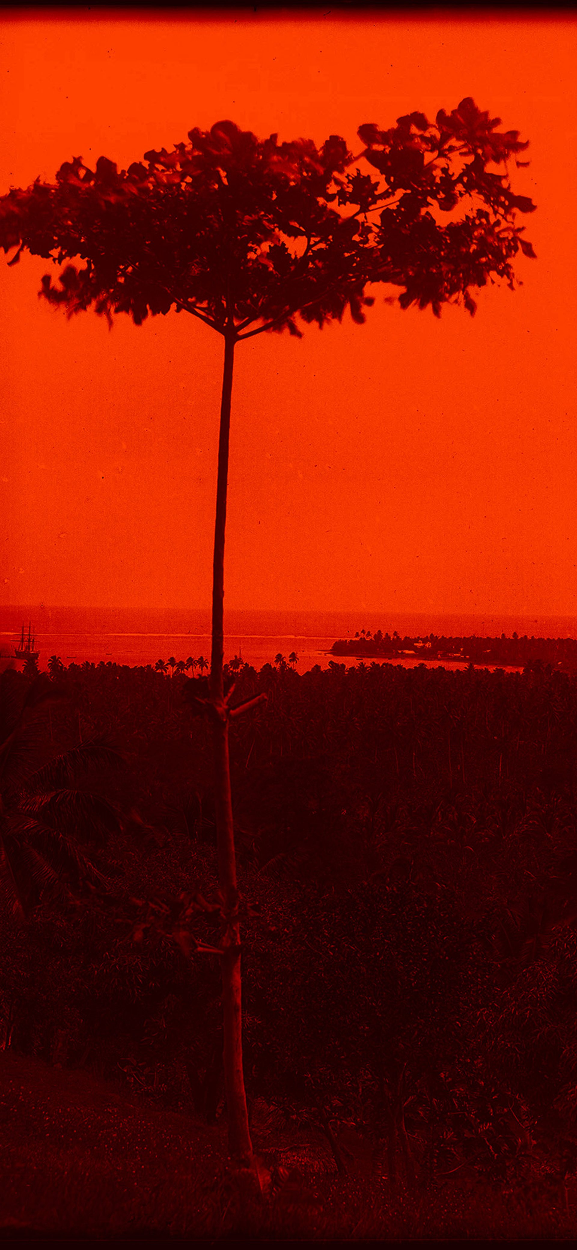 Moana Rising Reflections