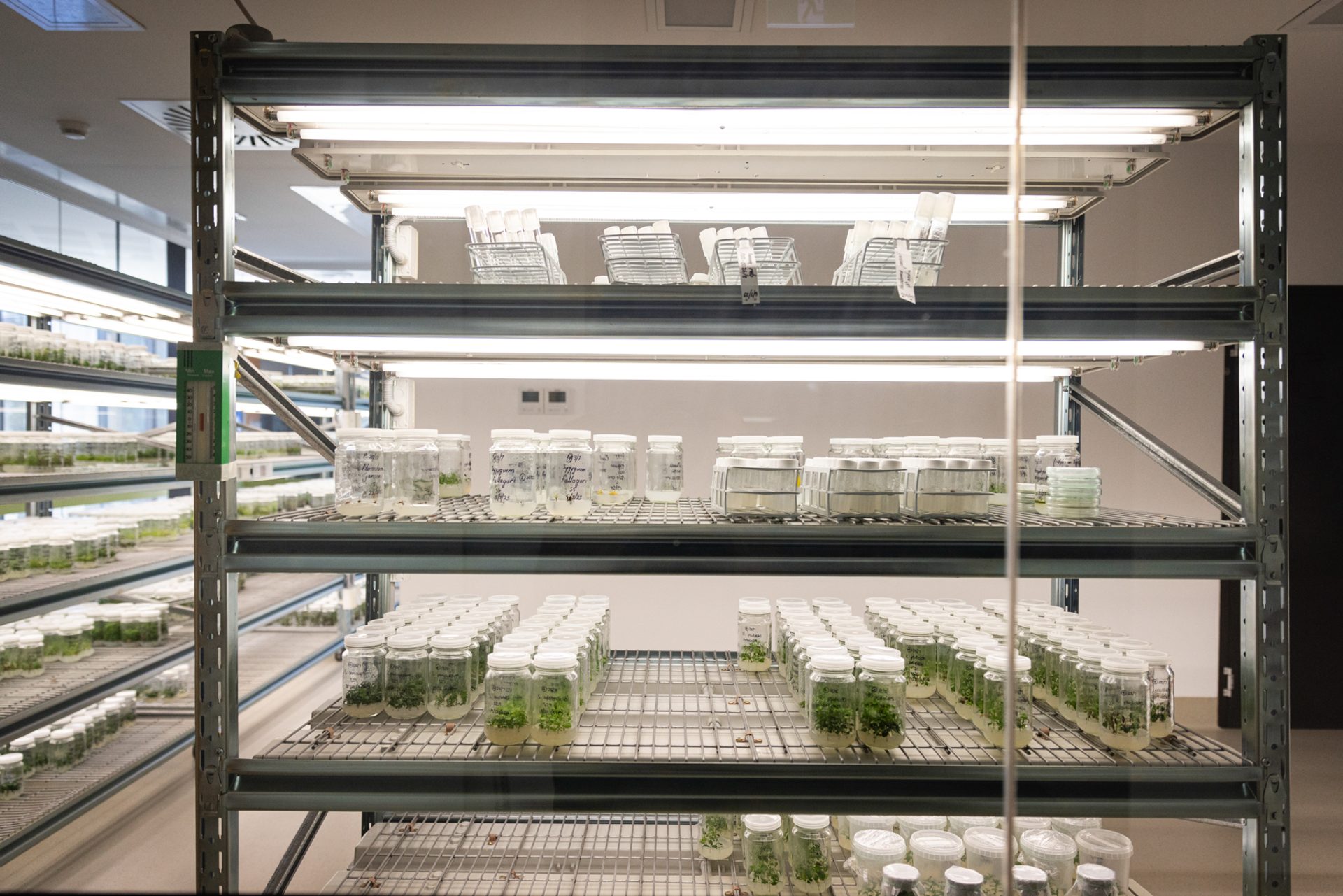 Shelving at Australian PlantBank