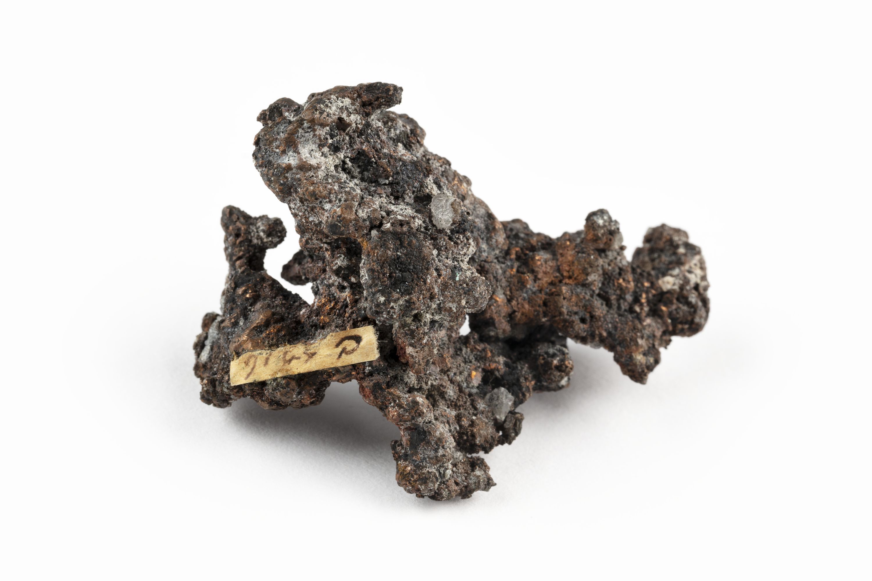 Up close museum collection photograph of mineral sample on white background