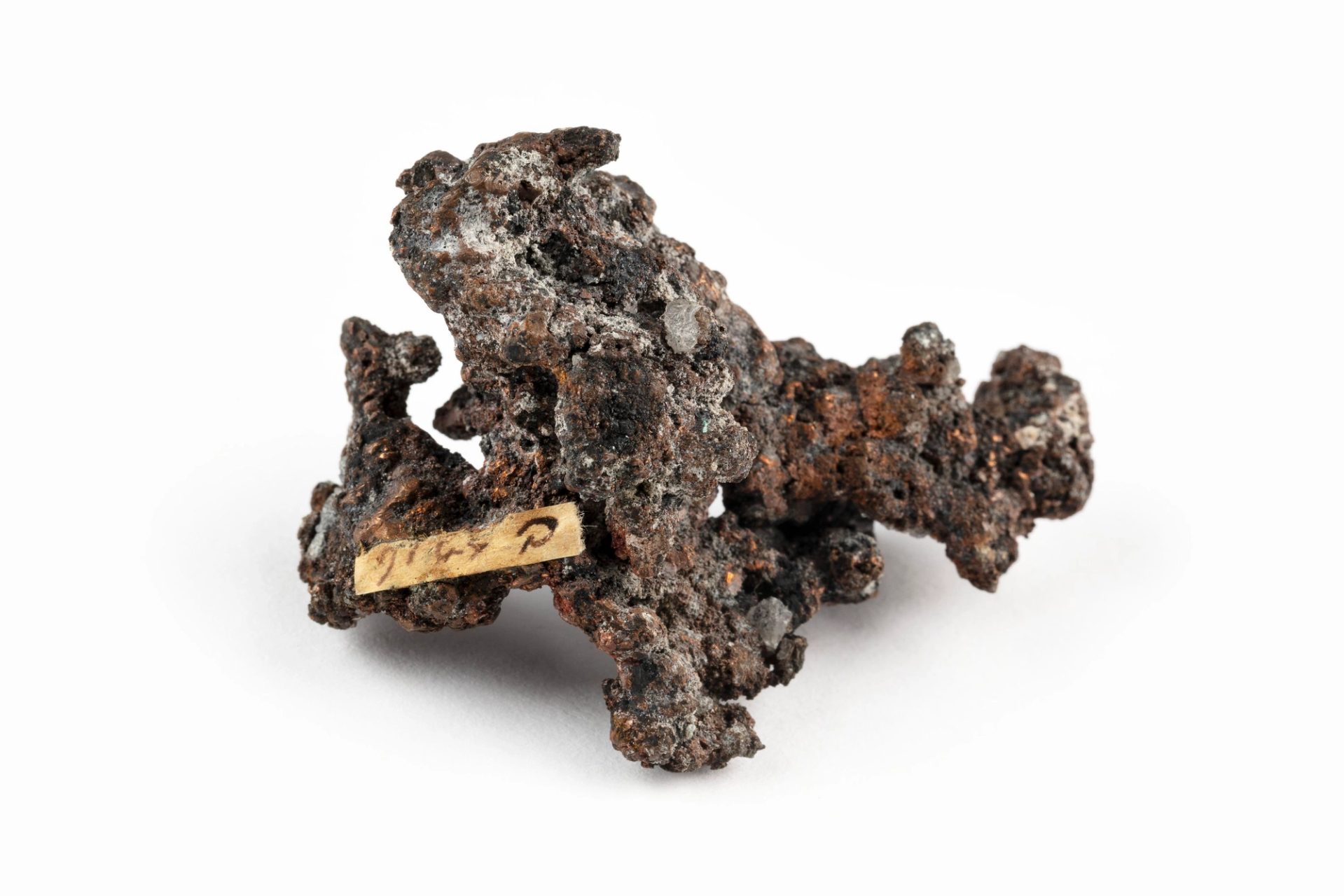 Up close museum collection photograph of mineral sample on white background