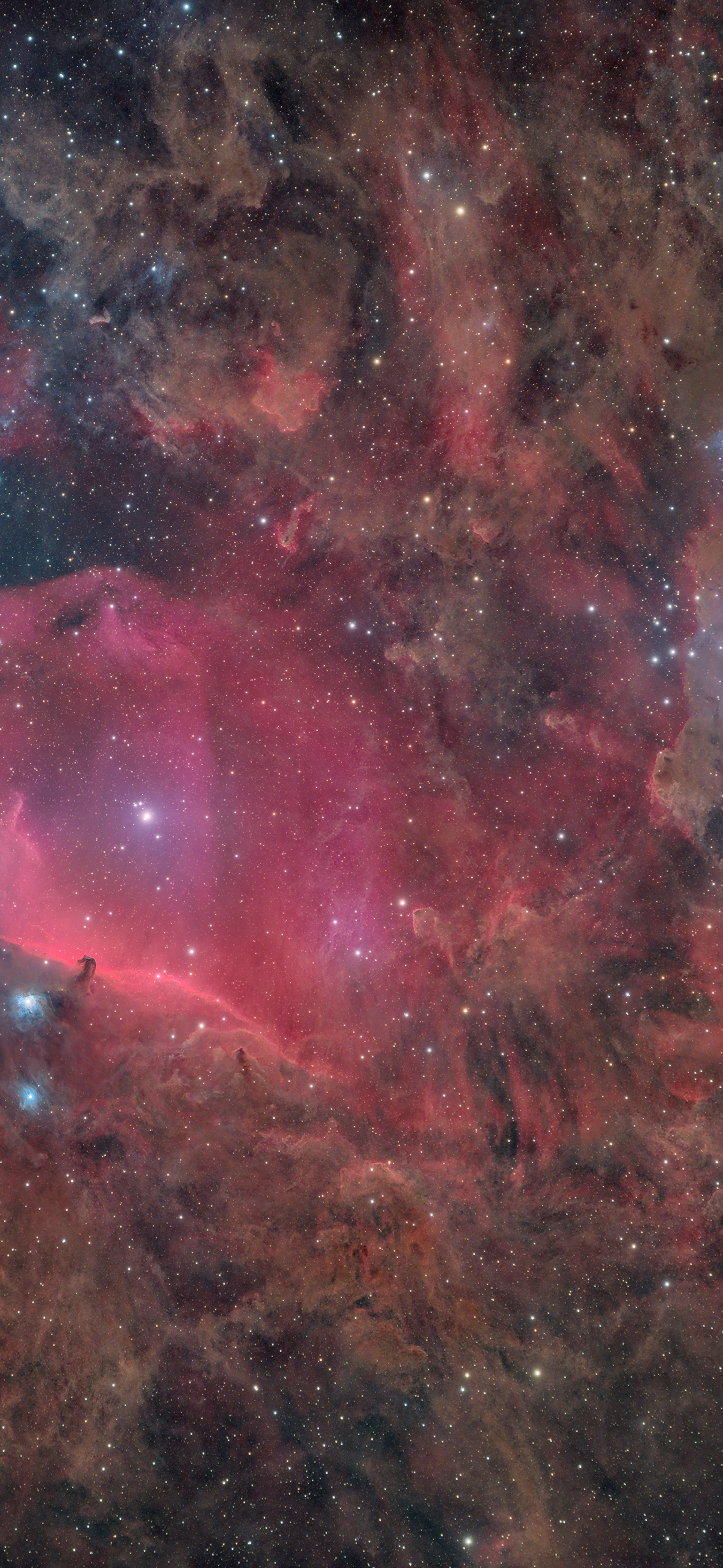 The Stars and Euahlayi Law