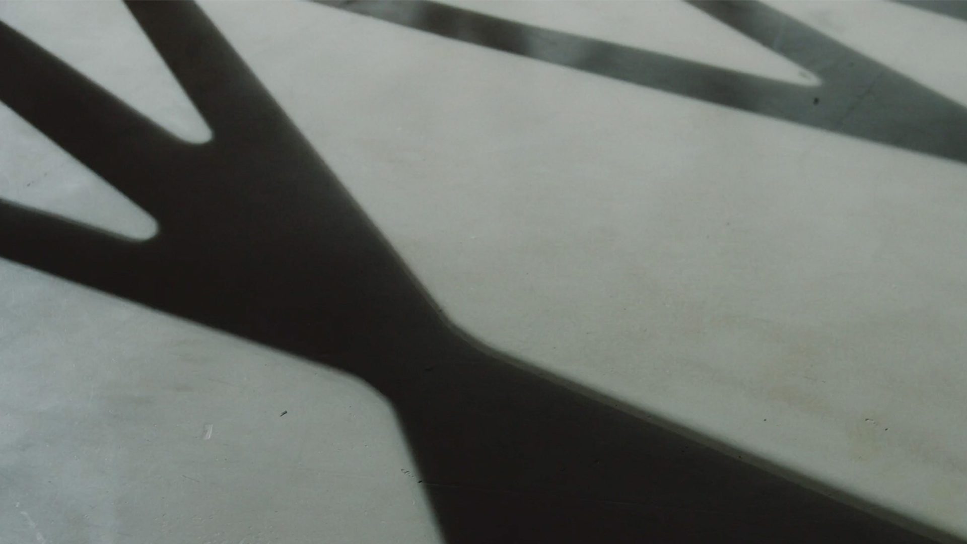 Shadows cast by the Powerhouse Parramatta exoskeleton on concrete