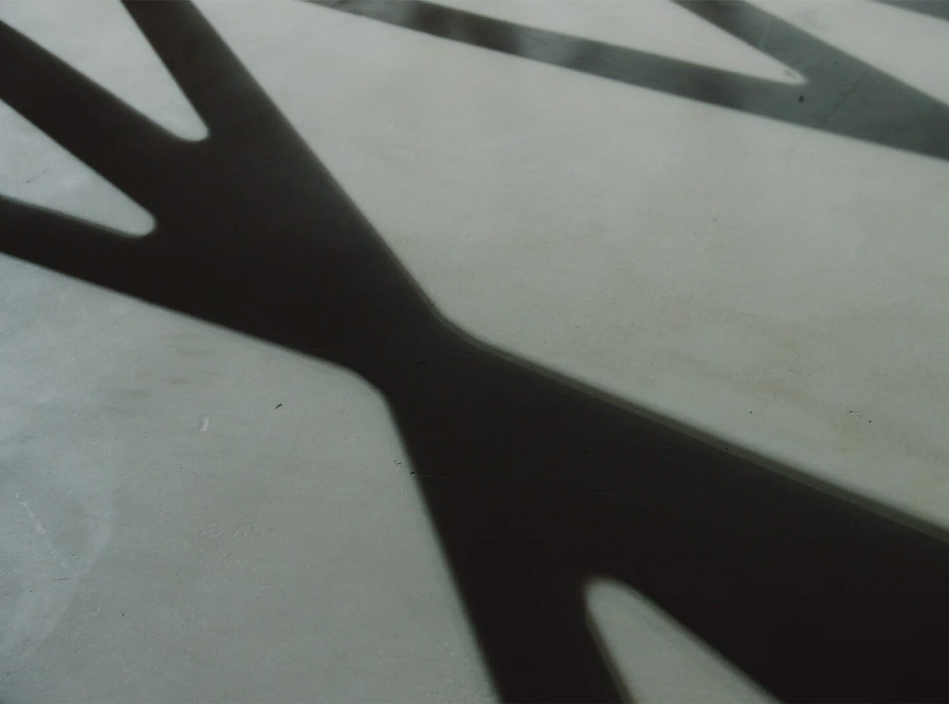 Shadows cast by the Powerhouse Parramatta exoskeleton on concrete