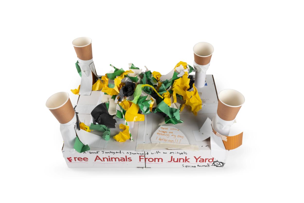 Free animals from junk yard box