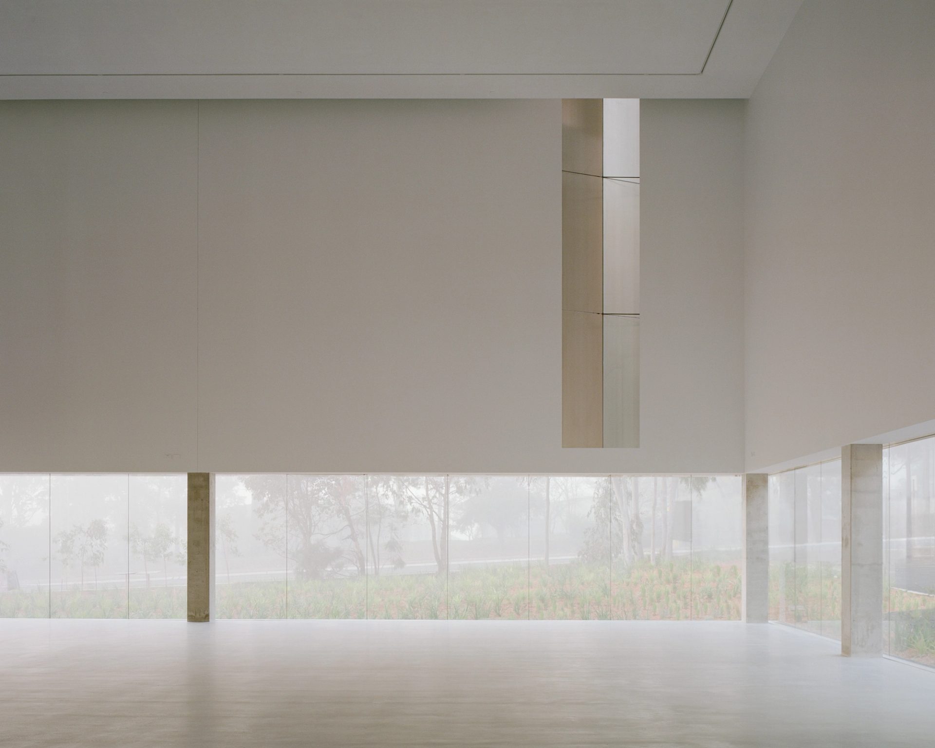 A view of eucalyptus trees through floor-to-ceiling windows of an exhibition space.