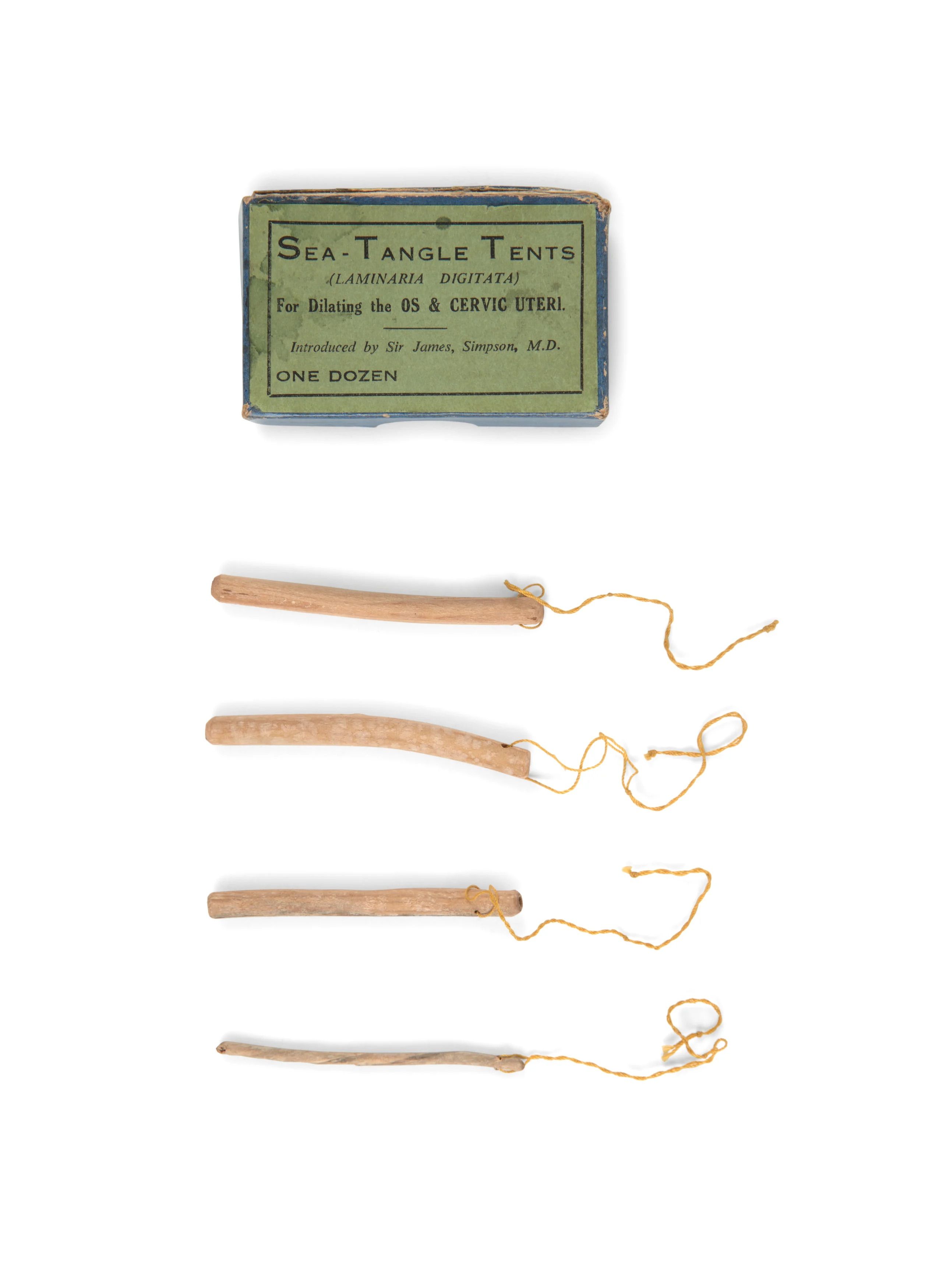 Four dilators made from dried seaweed stems, each with a string attached to its top. A blue cardboard box with a green lid is above them.