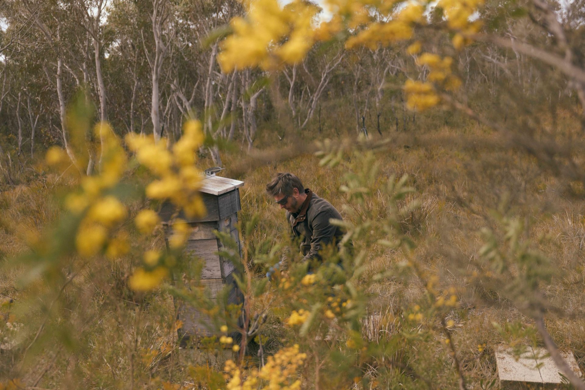 Figure bending at beehive in field.