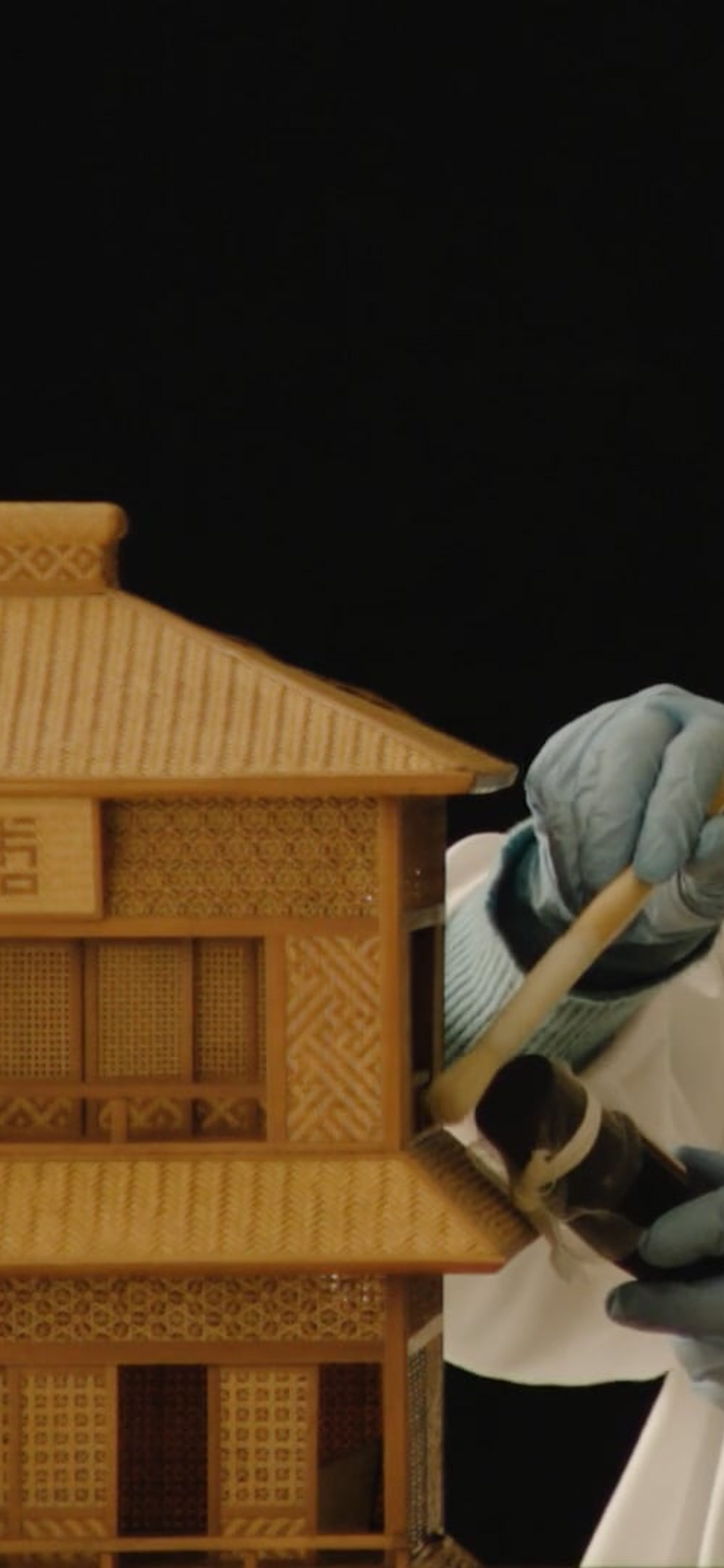 Collection Conservation