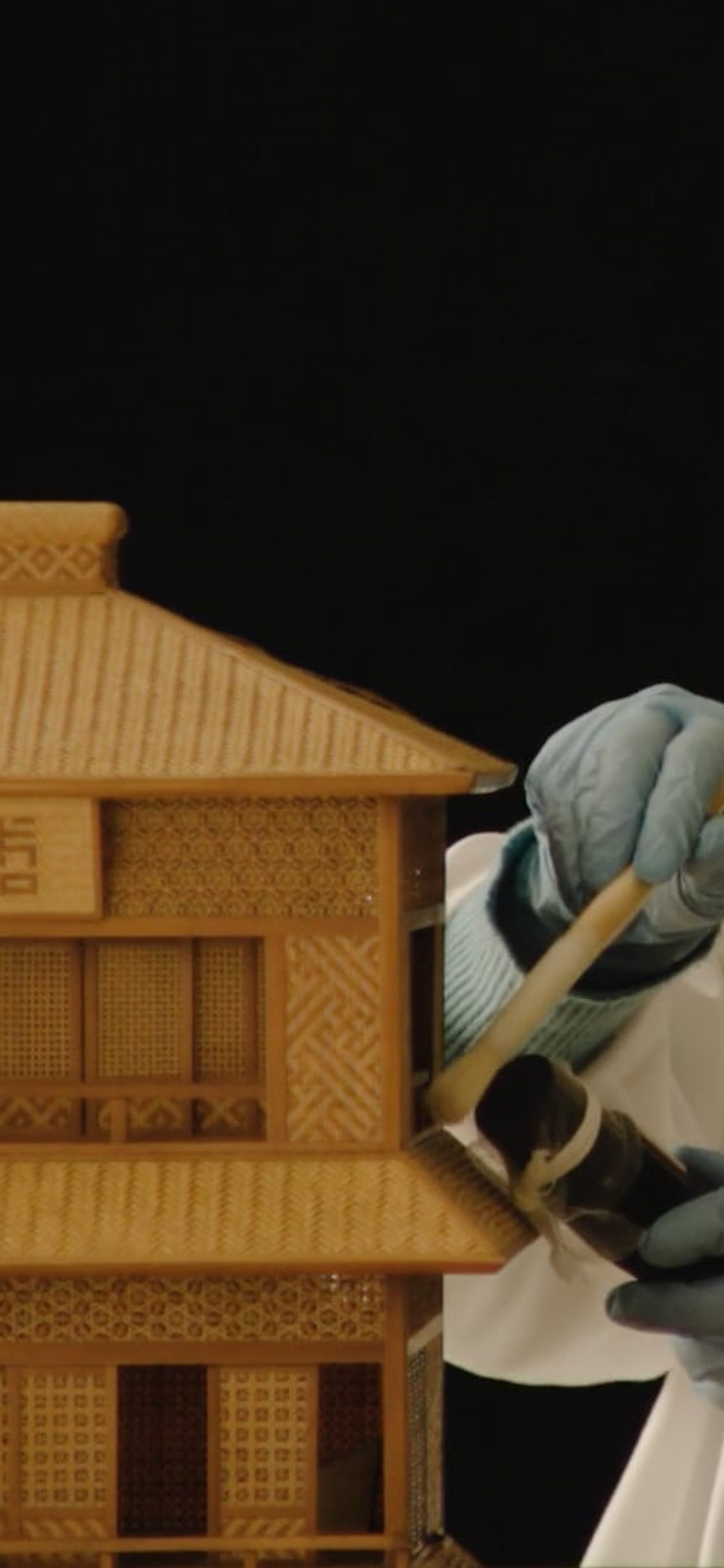 Collection Conservation