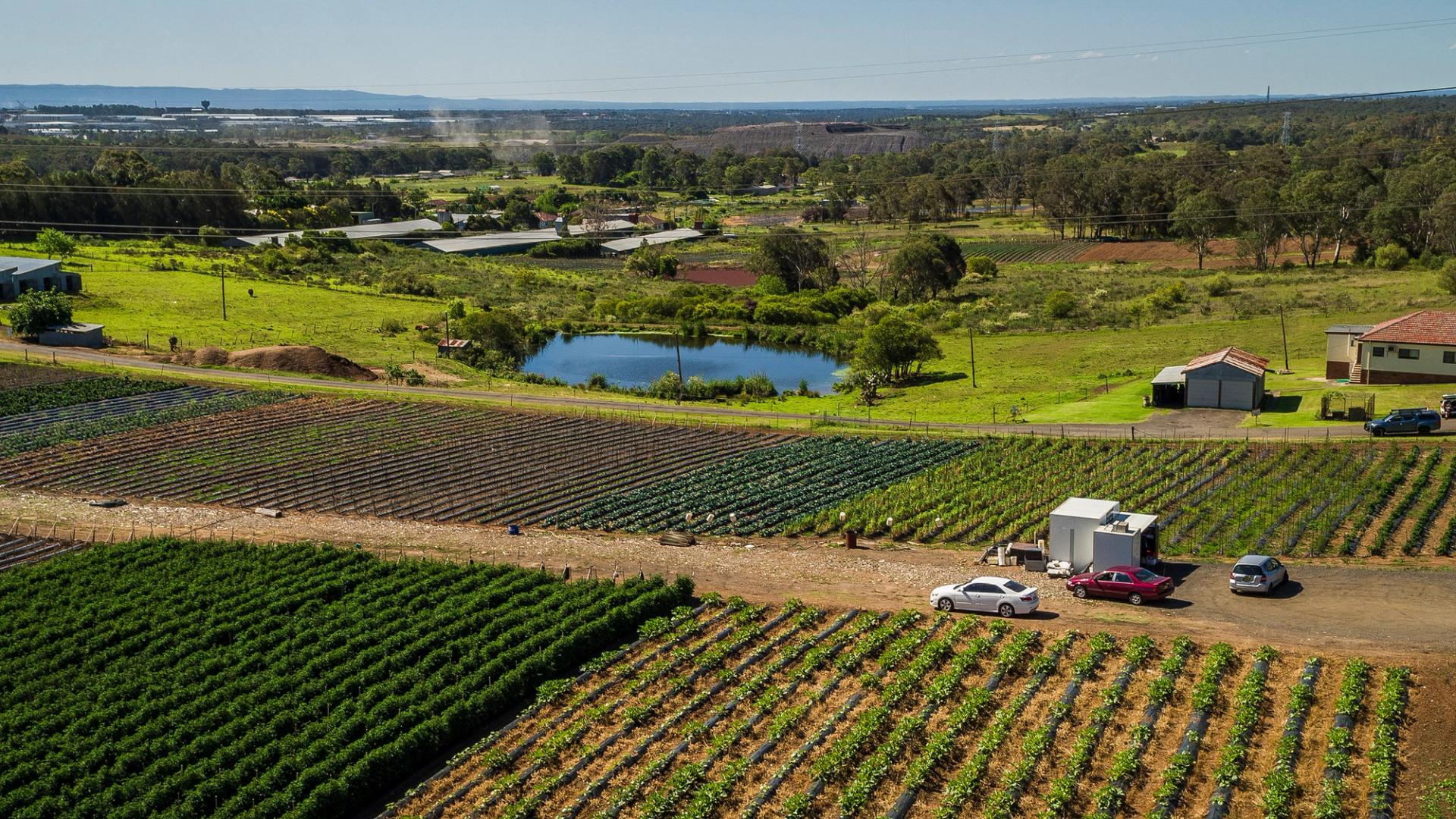 birdseye of farm