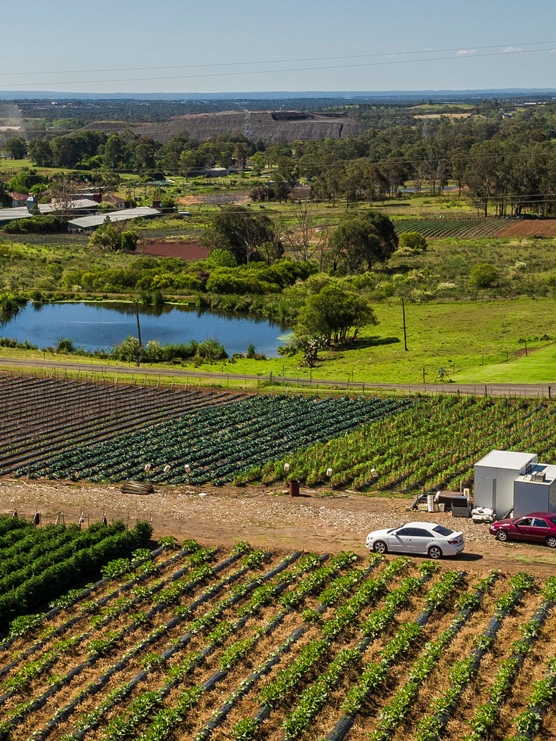 birdseye of farm