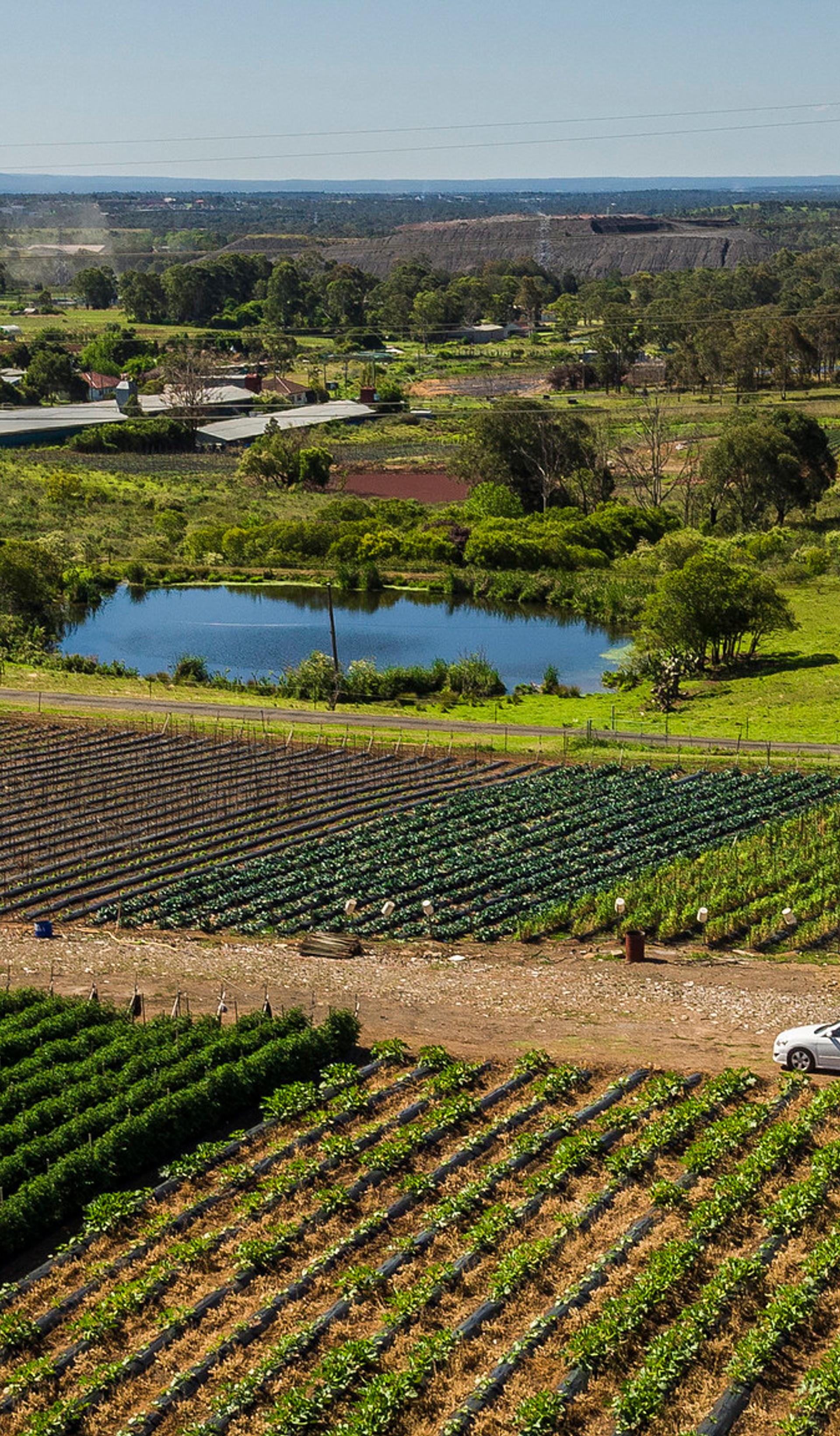 birdseye of farm