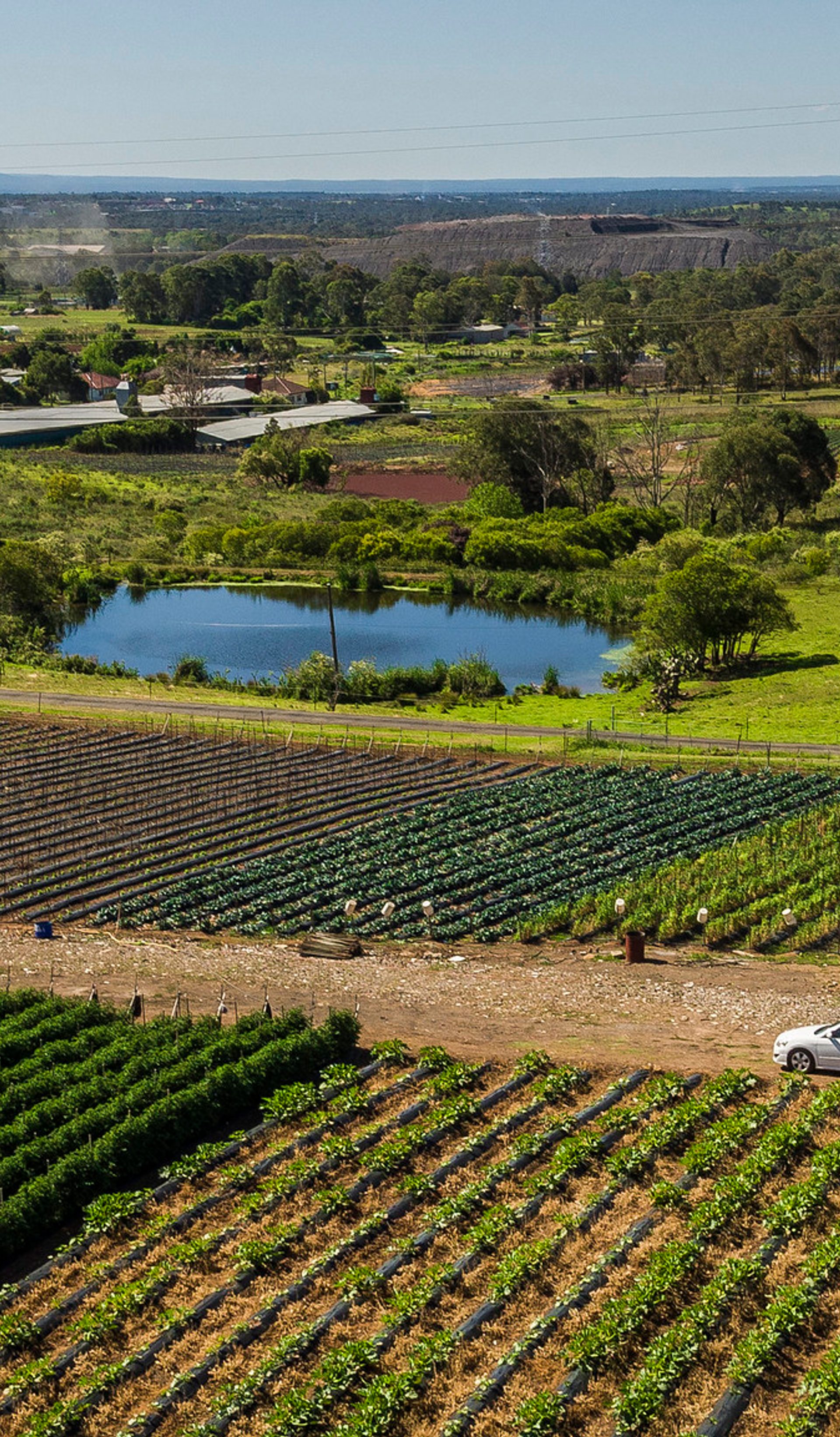 birdseye of farm