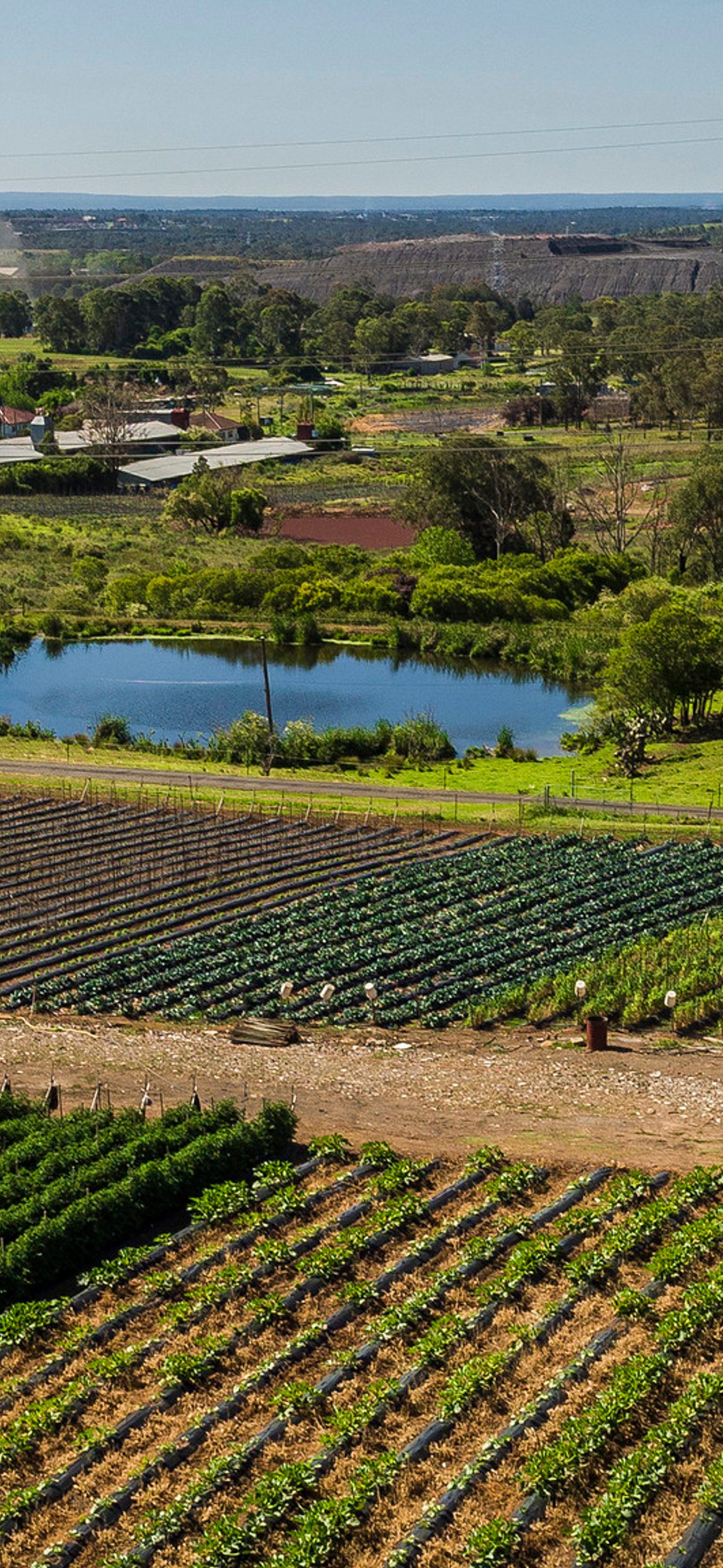 Horsley Park Urban Farms
