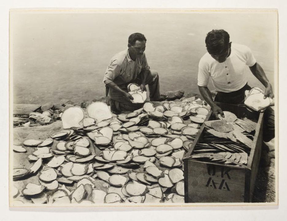 Two men sit amongst a large pile of pearl shells and appear to be sorting through them. There is a large wooden trunk where selected pearl shells are held.
