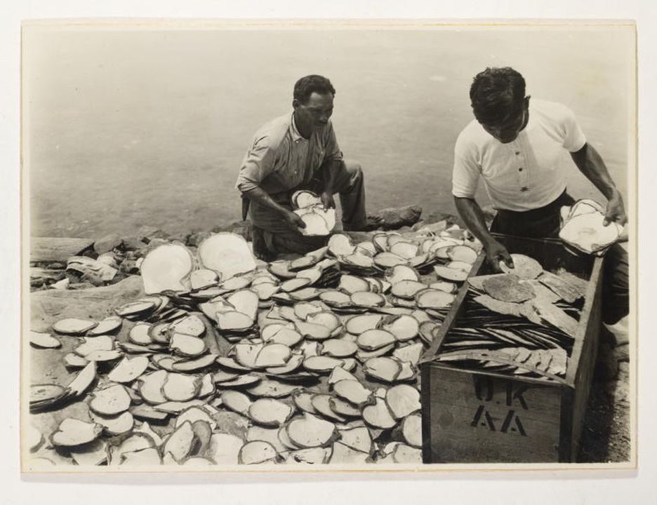 Two men sit amongst a large pile of pearl shells and appear to be sorting through them. There is a large wooden trunk where selected pearl shells are held.