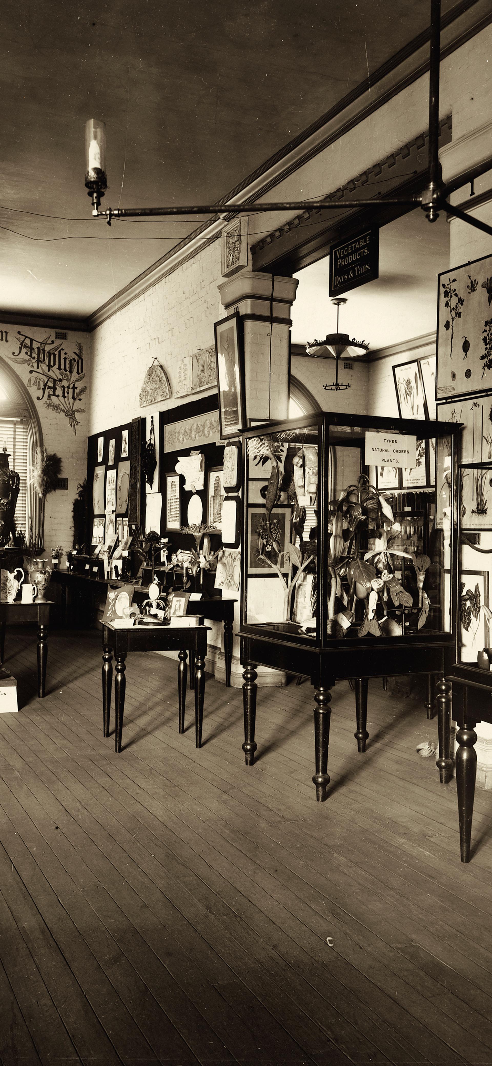 Sepia photograph of museum botanical display