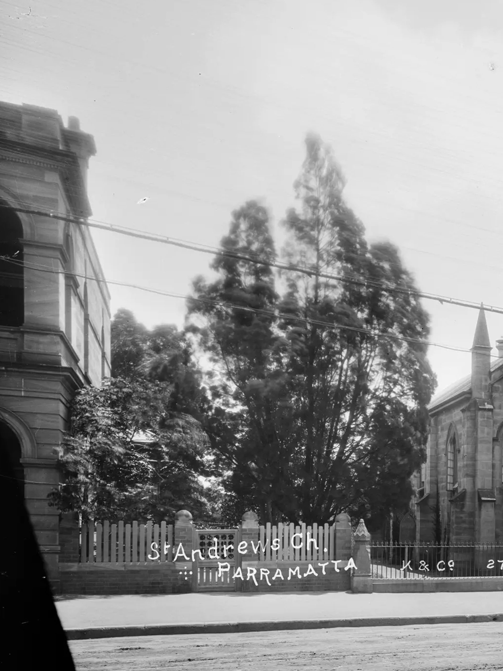 Silver gelatin dry plate glass negative in landscape format. The image depicts St Andrews Presbyterian Church in Parramatta. The church is depicted in the centre of the image. The front of the church features a turret like tower with four spires. The electric tramway is depicted in the foreground of the image. Other buildings are partially depicted on either side of the church. A hansom cab can be seen in the foreground in the left side of the image. The caption, studio mark and studio number are inscribed on the reverse of the negative.