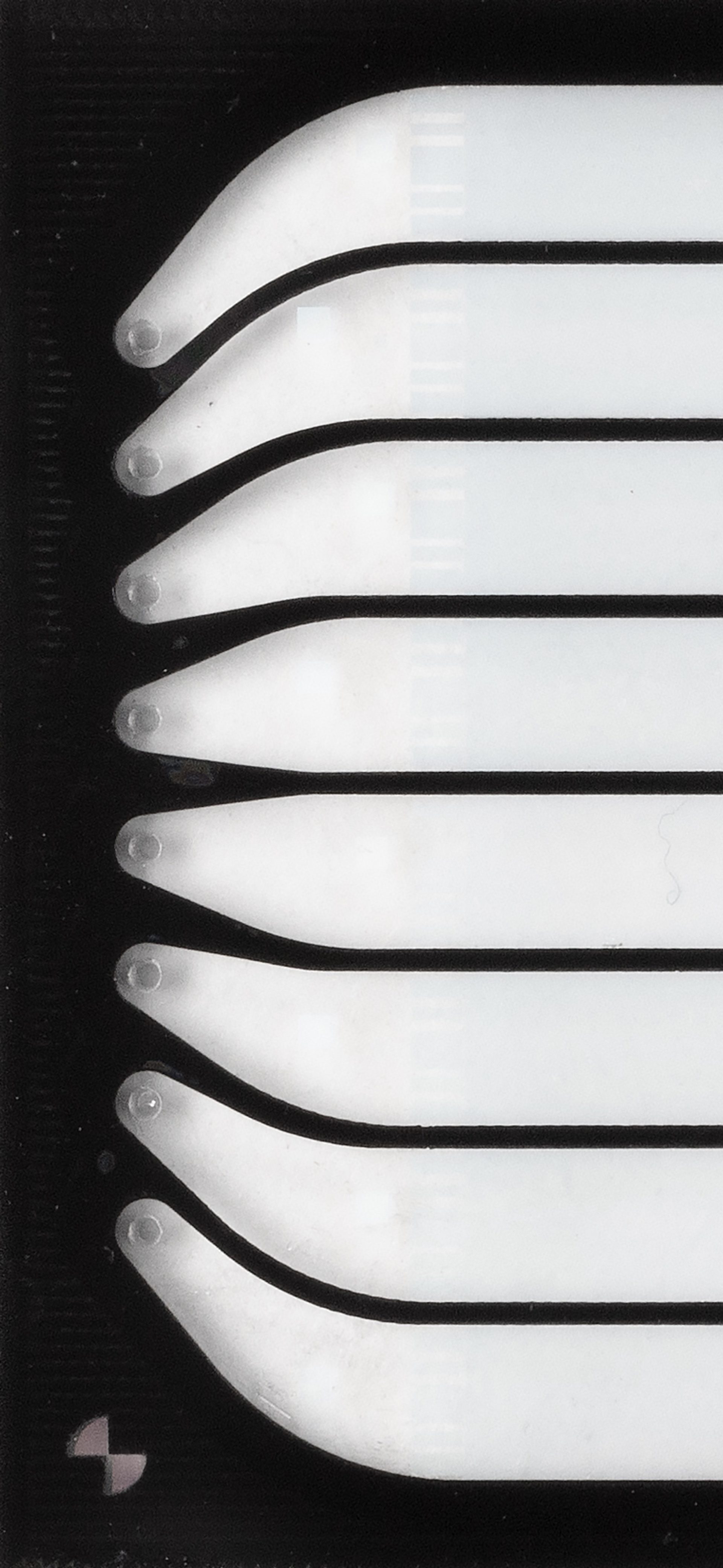 Powerhouse Late: Science