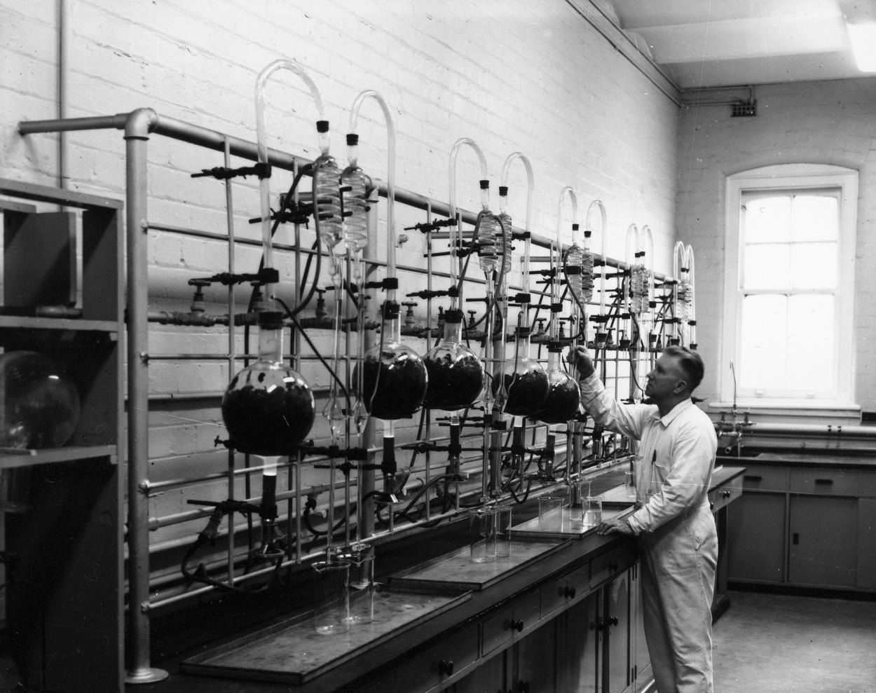 Black and white photographer of a main in a white lab coat studying botanical samples in glass scientific apparatus
