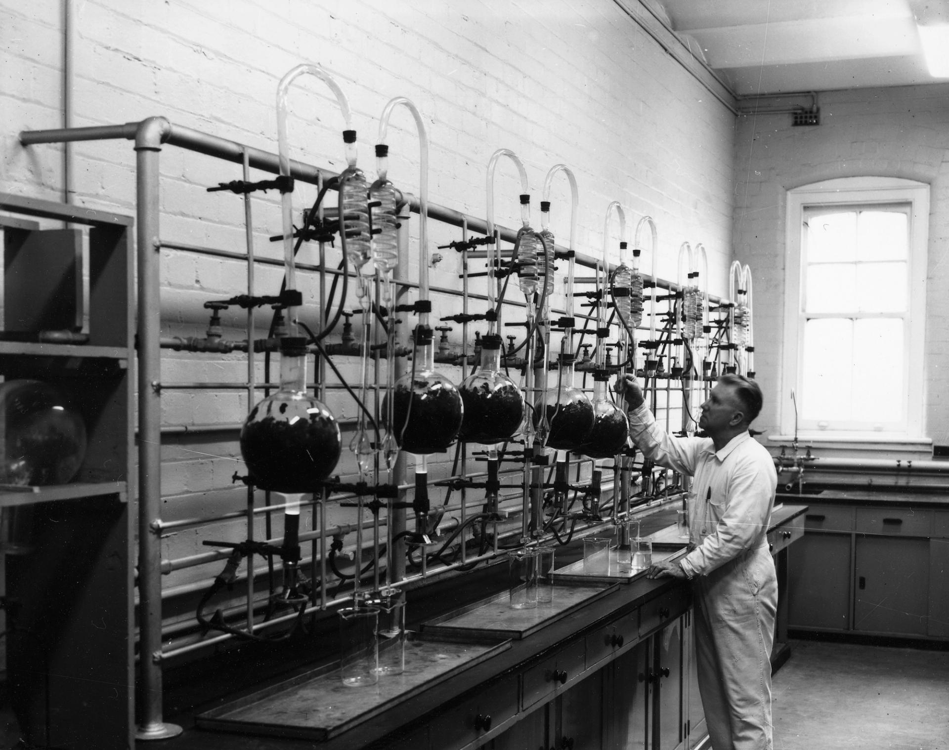 Black and white photographer of a main in a white lab coat studying botanical samples in glass scientific apparatus