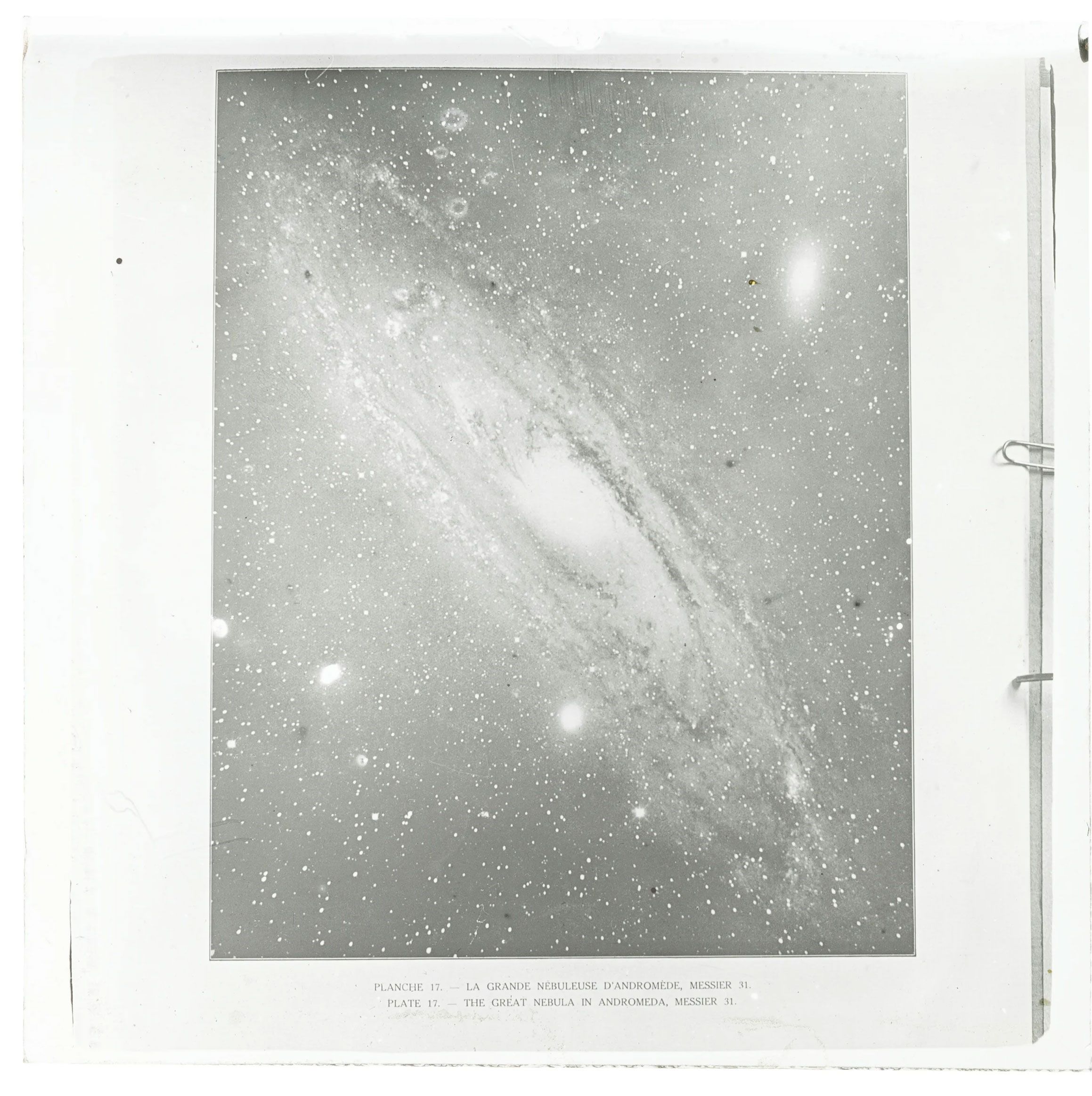 Plate negative of Andromeda