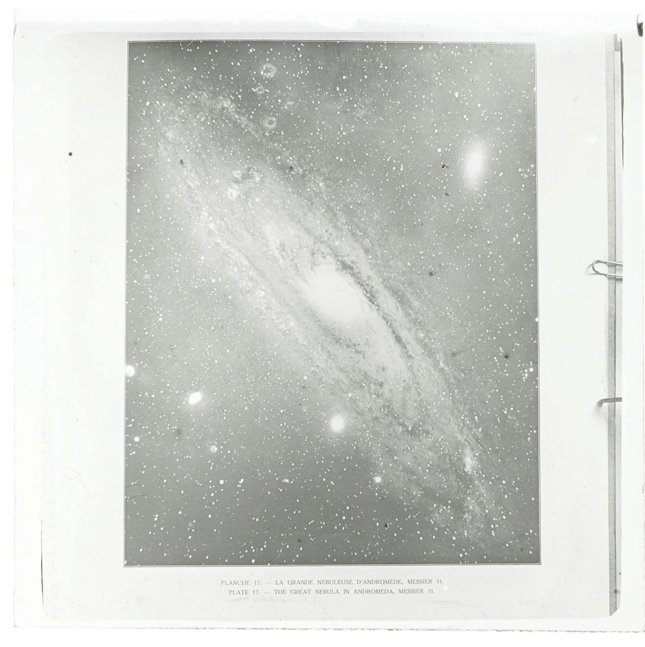 Plate negative of Andromeda