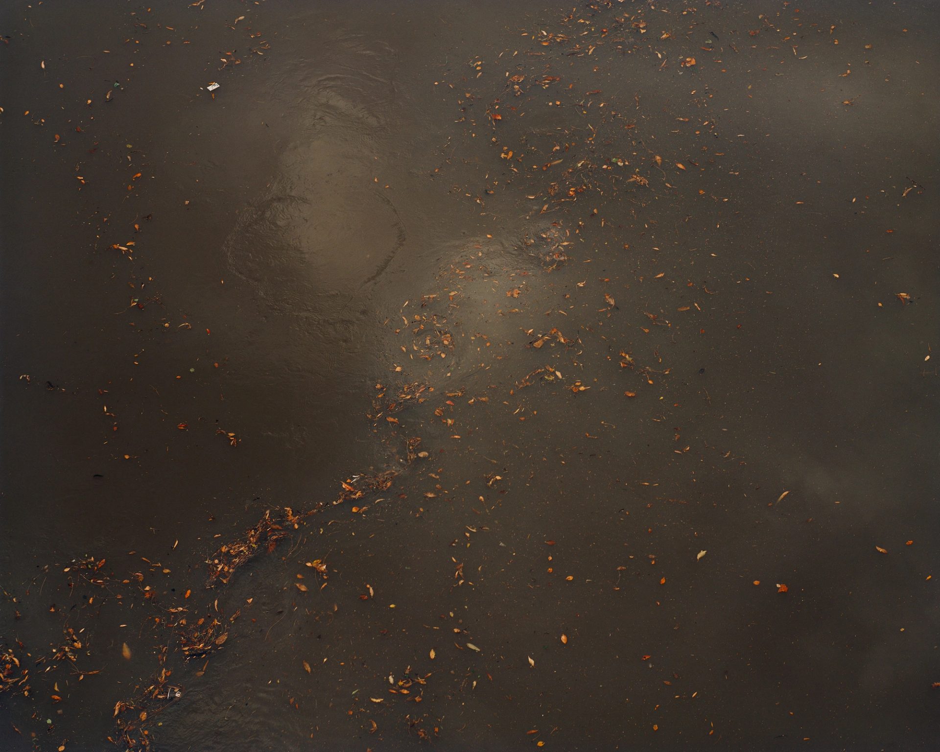 After the storm #3, Parramatta, 2023.