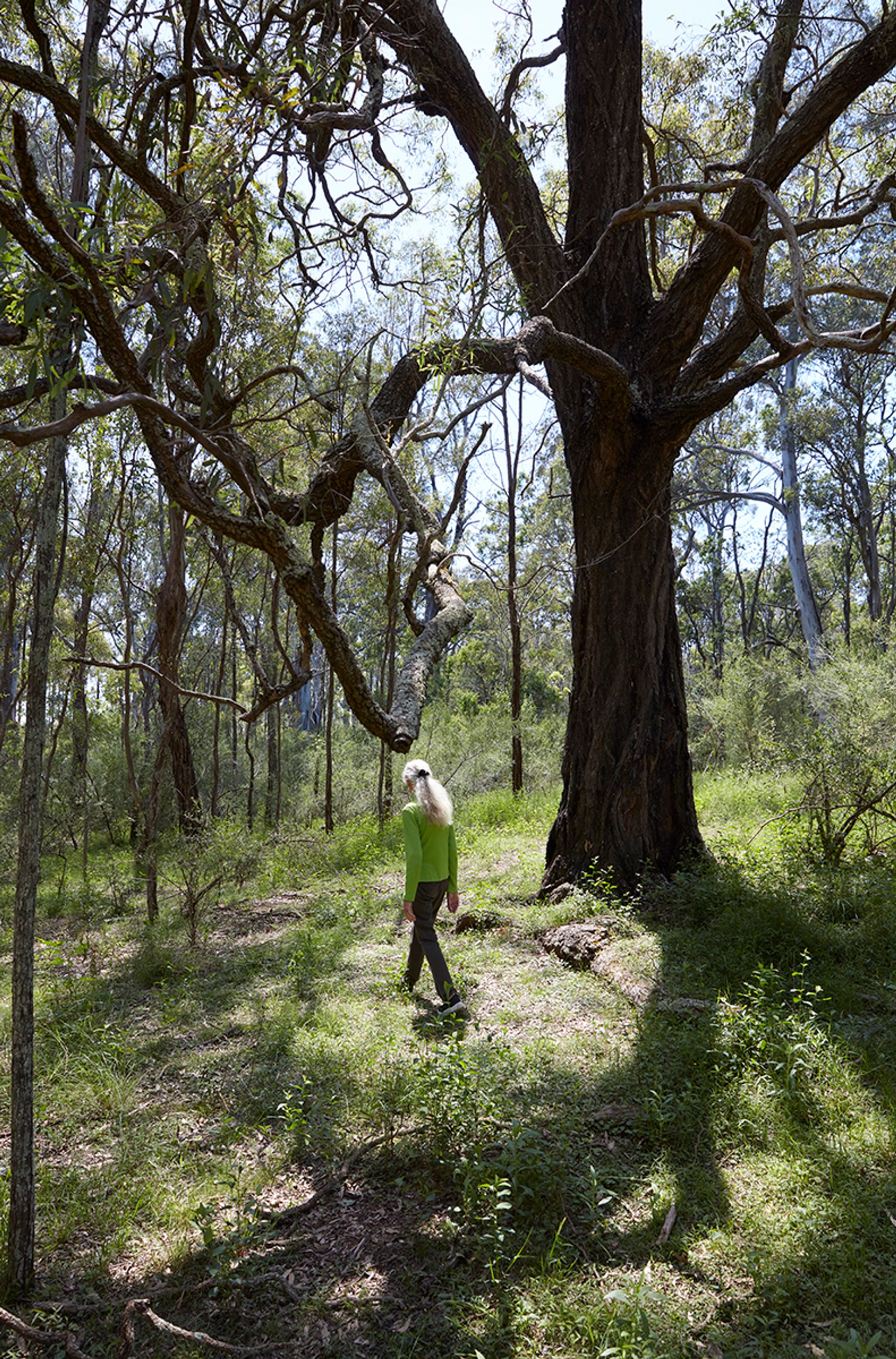 Aunty Fran walking on grass in the open bush.