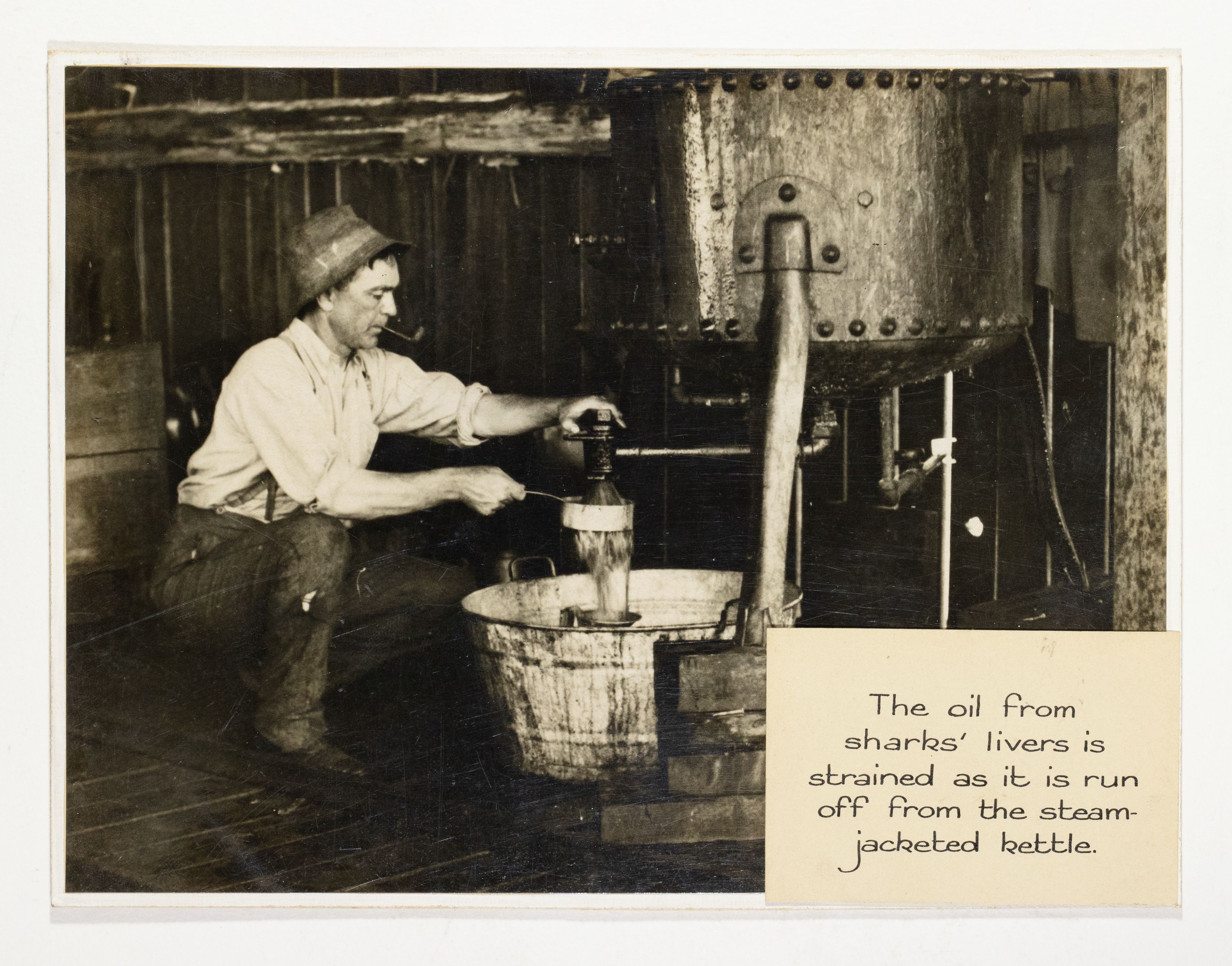 Old black-and-white photo of a factory worker smoking a pipe and seated over a basin, straining ‘oil from sharks’ livers’ according to the caption.