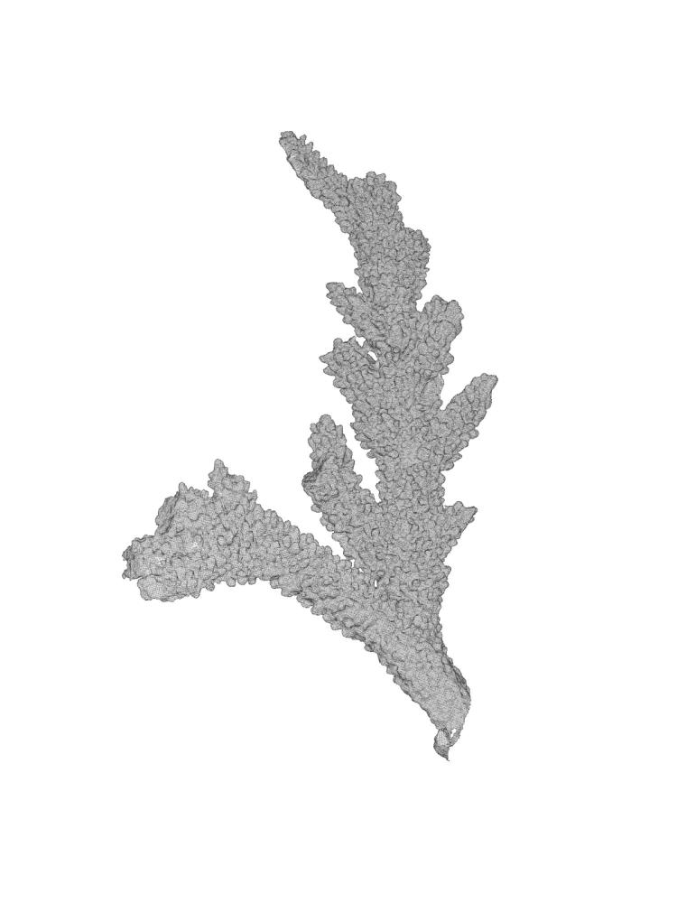 A gray 3d rendered piece of coral on a white background.