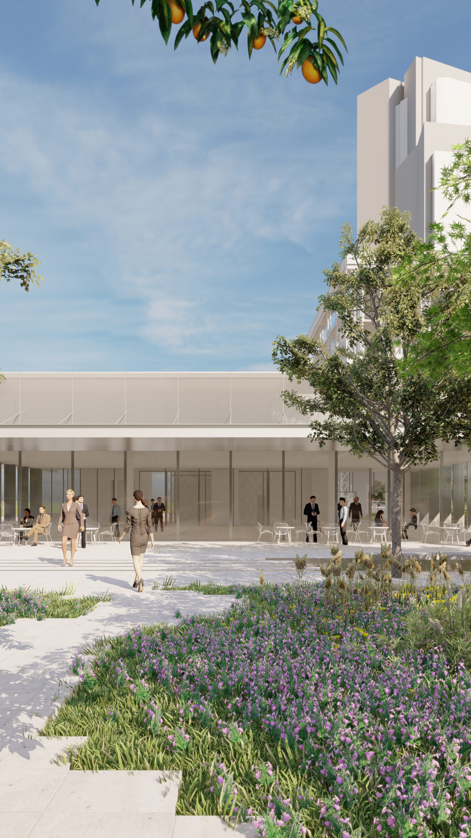 Powerhouse Parramatta – Rooftop Pavilion