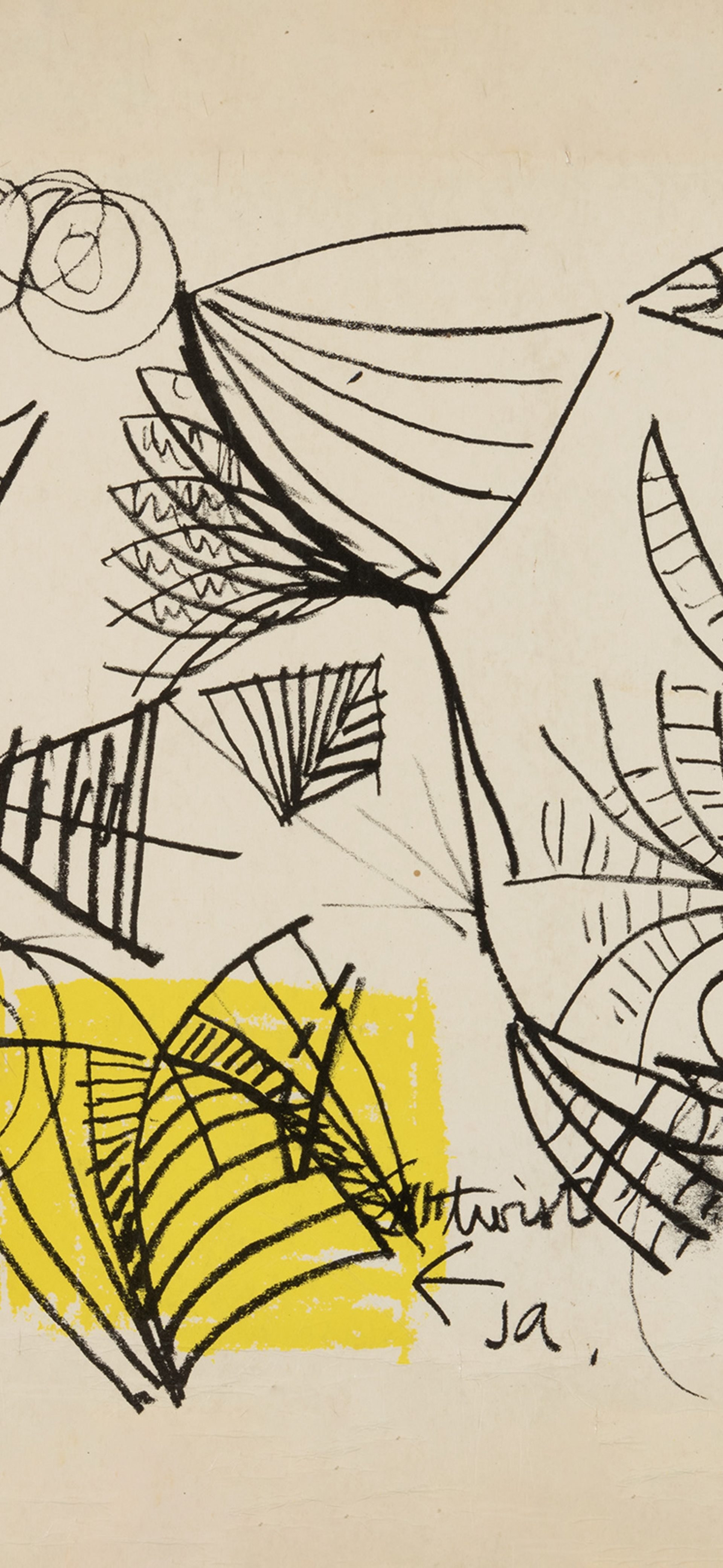 Sydney Opera House 50th Anniversary