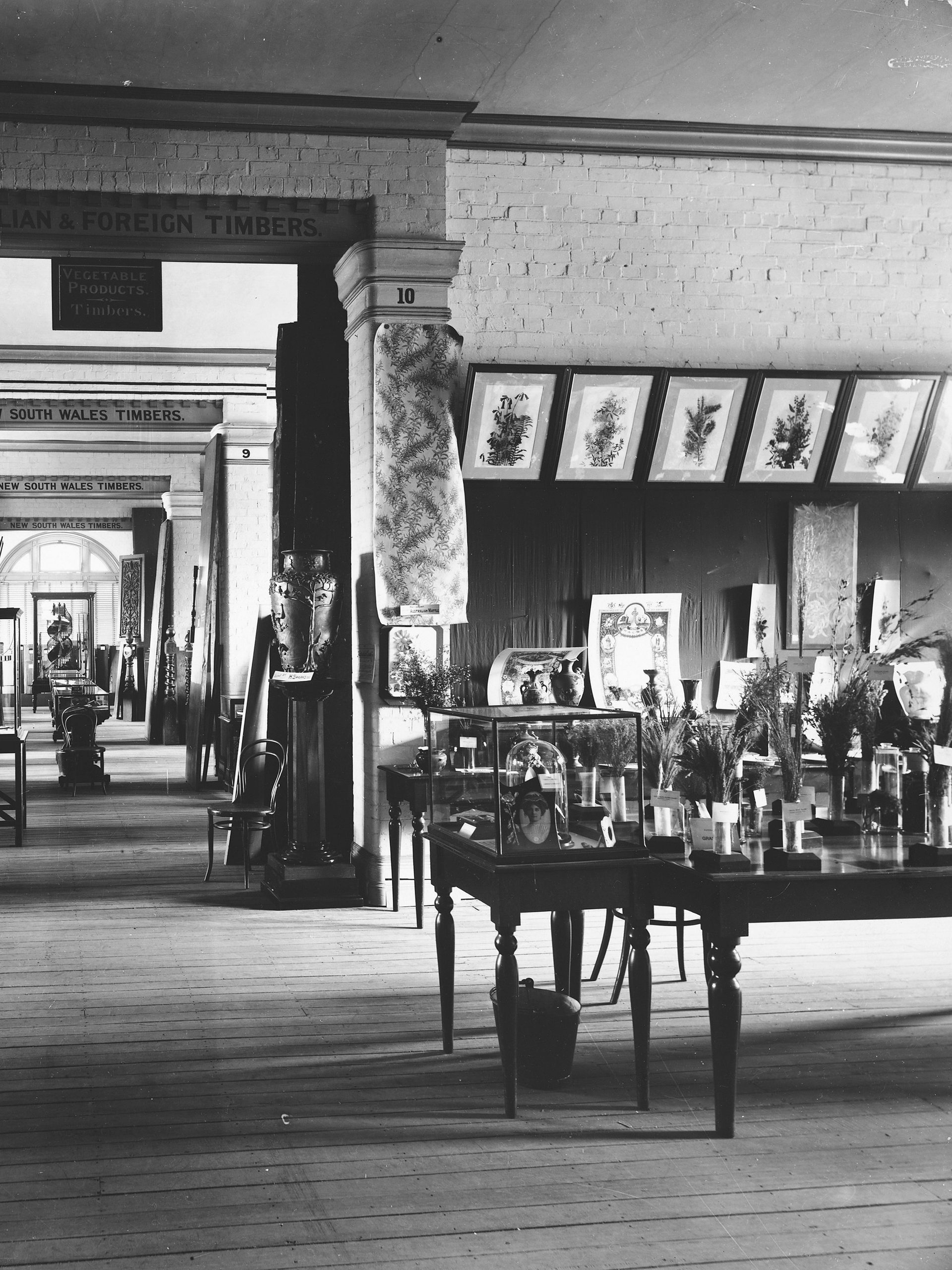 Exhibition display for Animal, Vegetable, Mineral