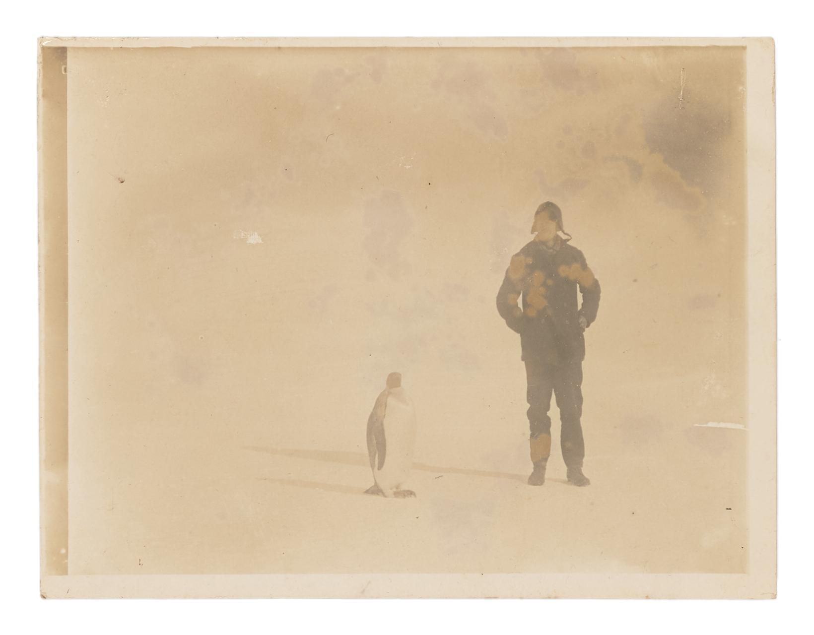 Photograph, black and white print, 'Penguin & Davis', taken as part of Ernest Shackleton's British Antarctic Expedition.