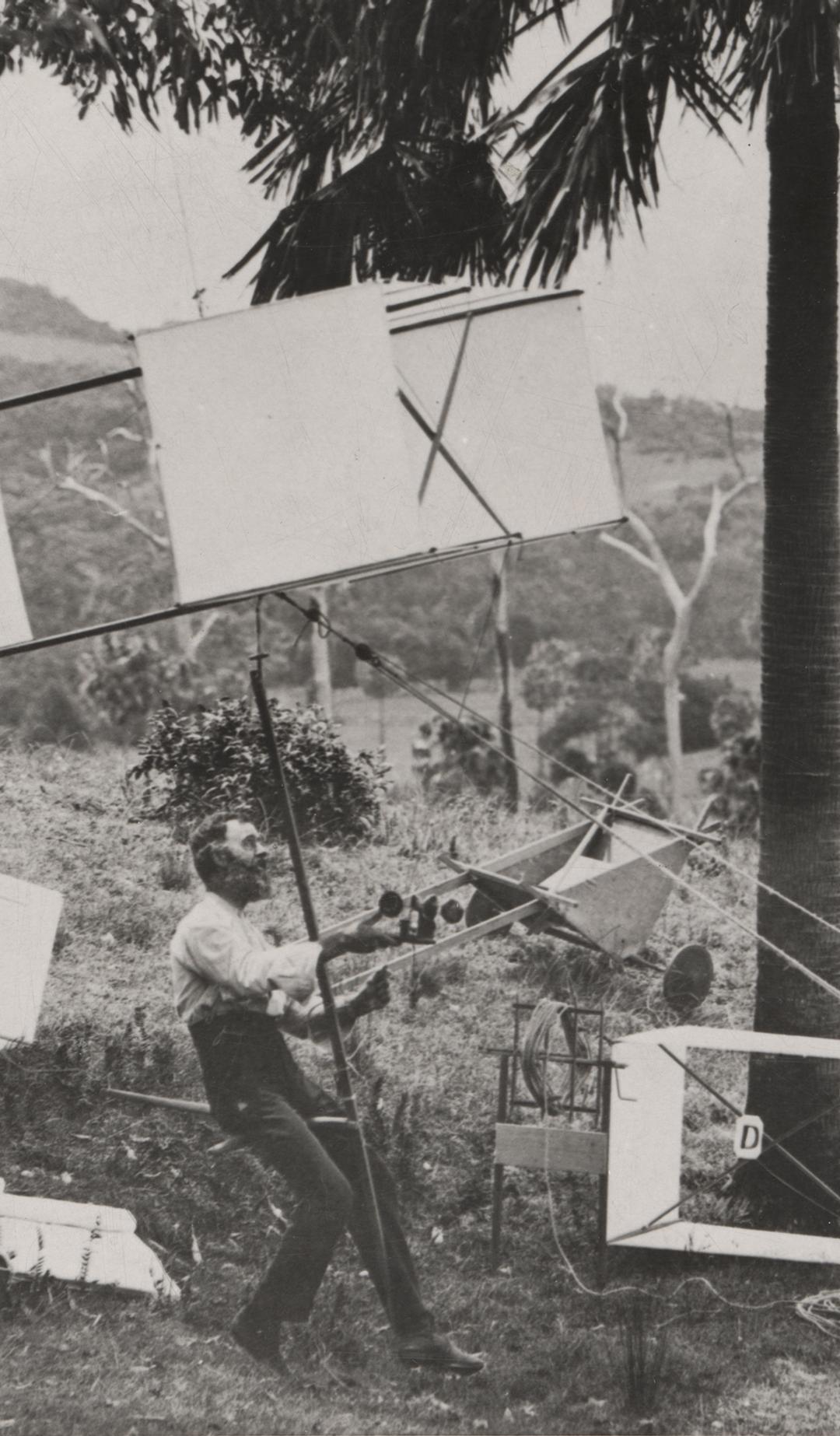 many kites within a country landscape