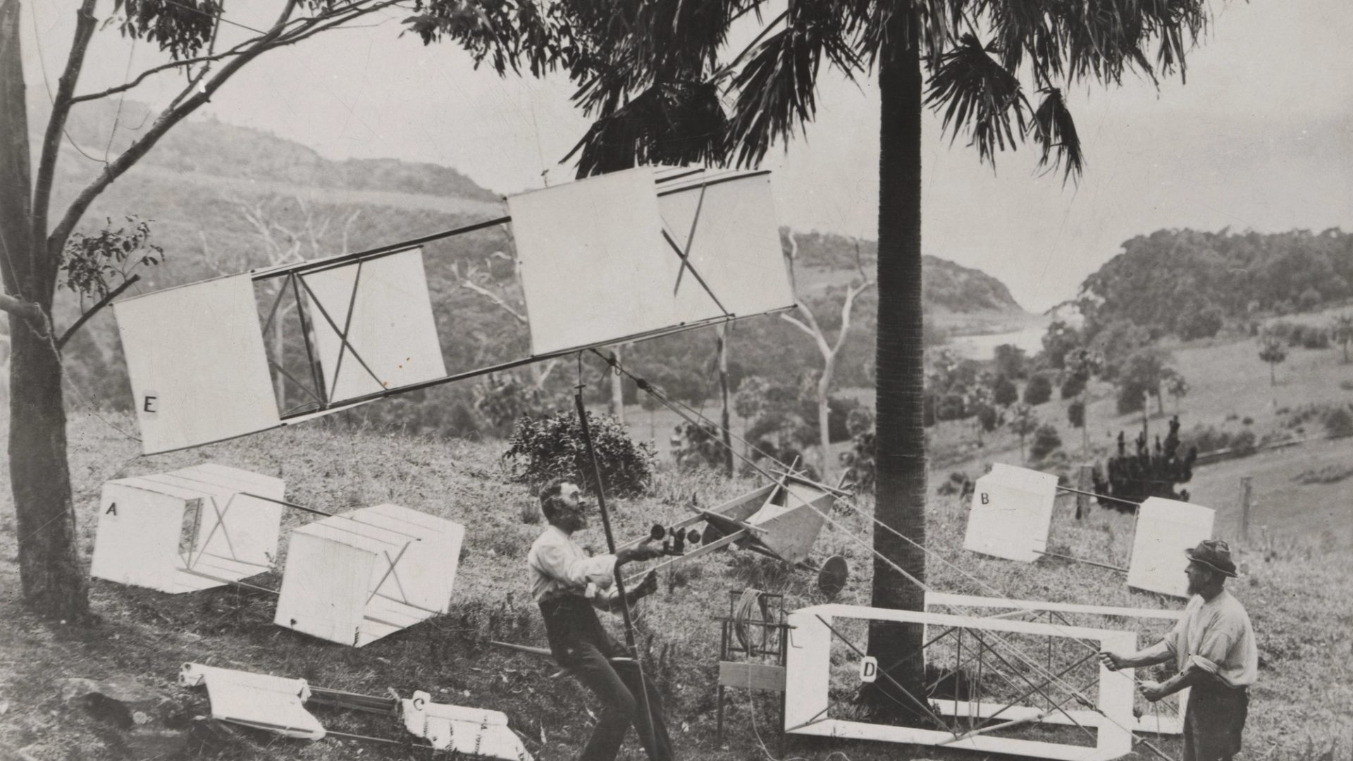 many kites within a country landscape