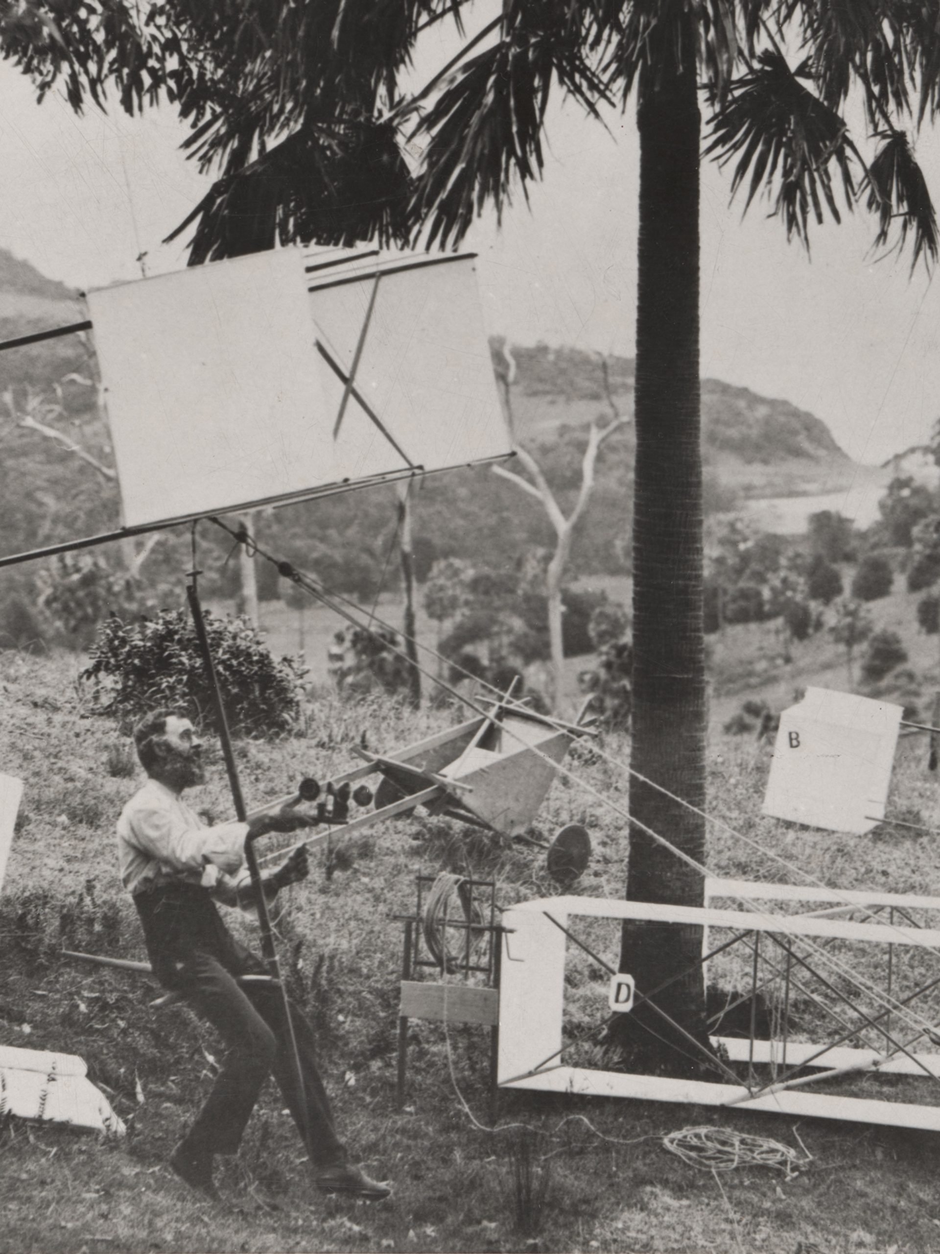 many kites within a country landscape