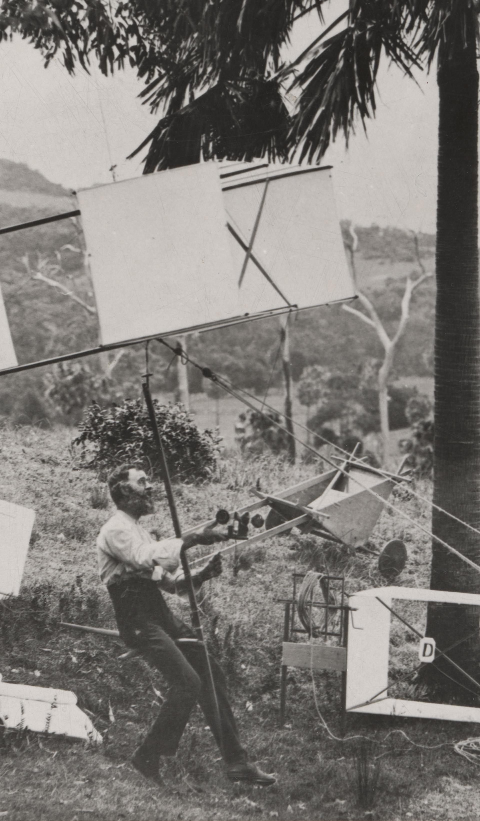 many kites within a country landscape