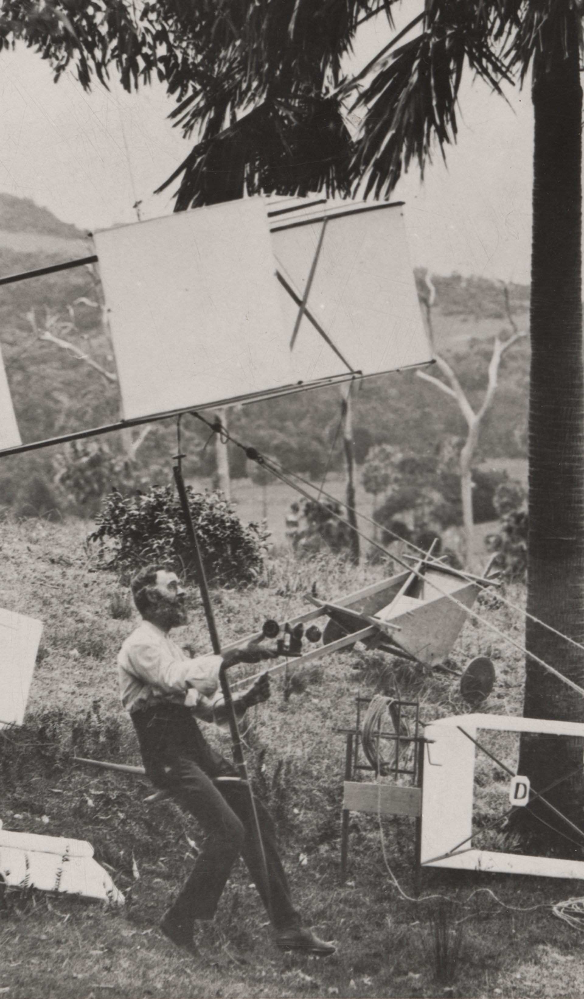 many kites within a country landscape