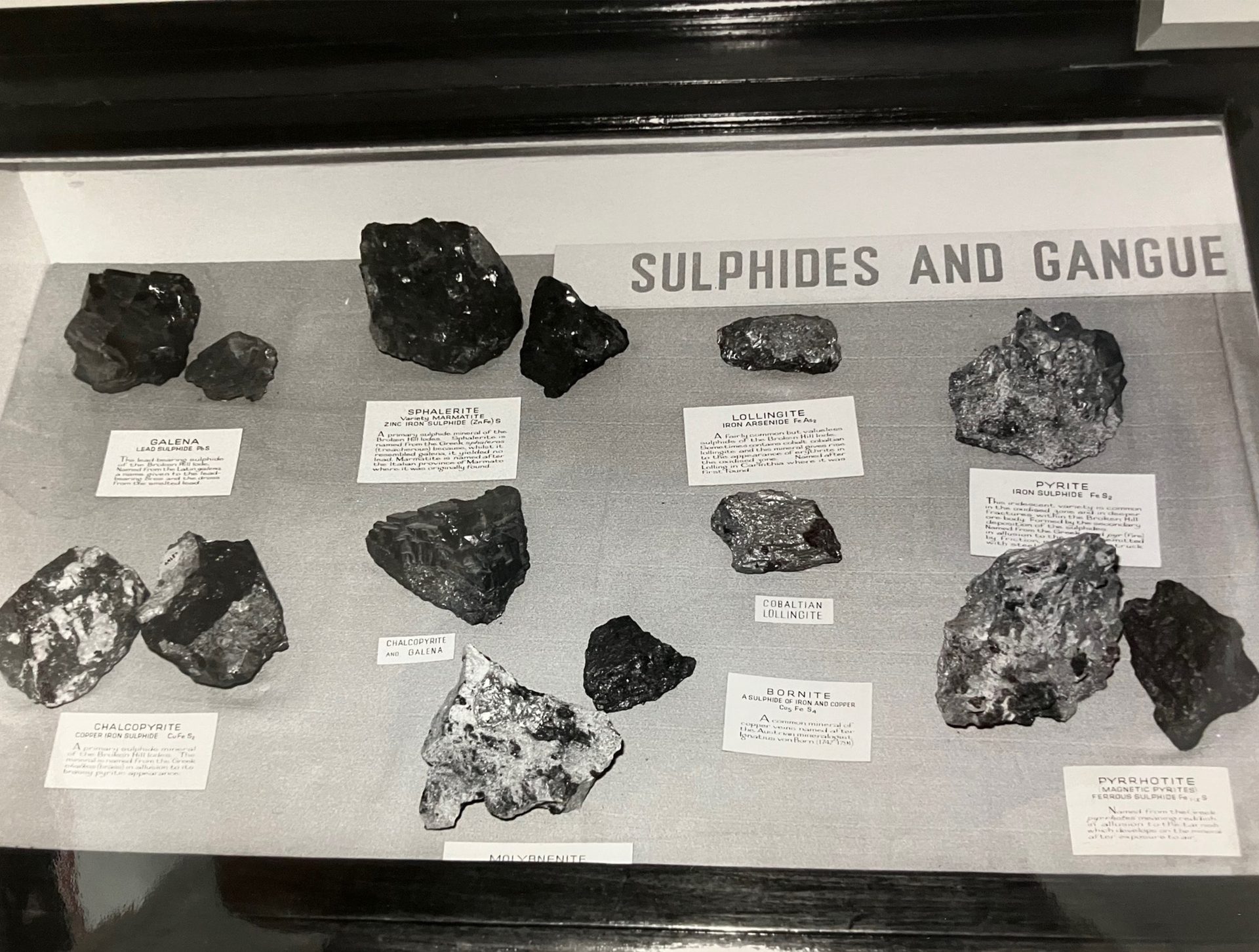 Black and white photograph of a large group of people standing in a museum gallery