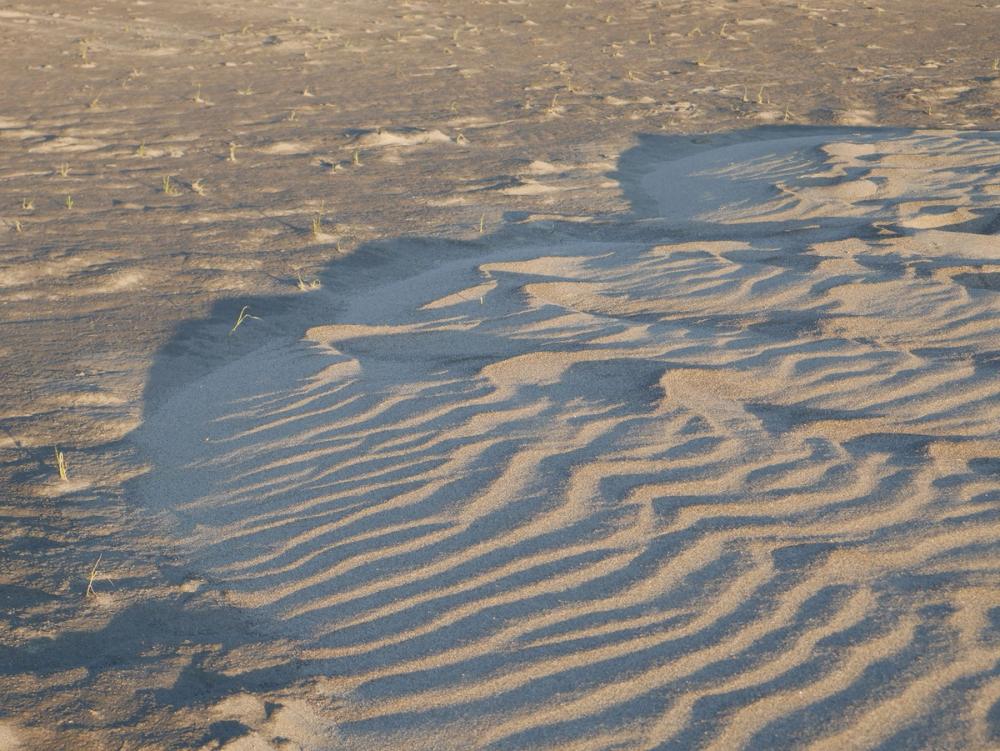 A photograph of sand with patterns created by wind and tides.