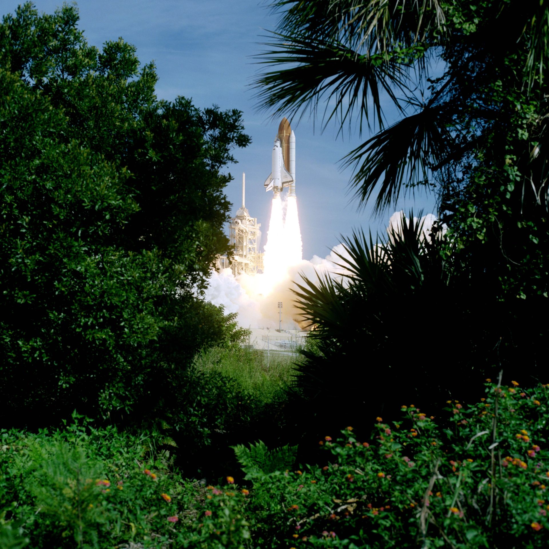 A rocket at lift-off viewed through palm trees on the left and right.