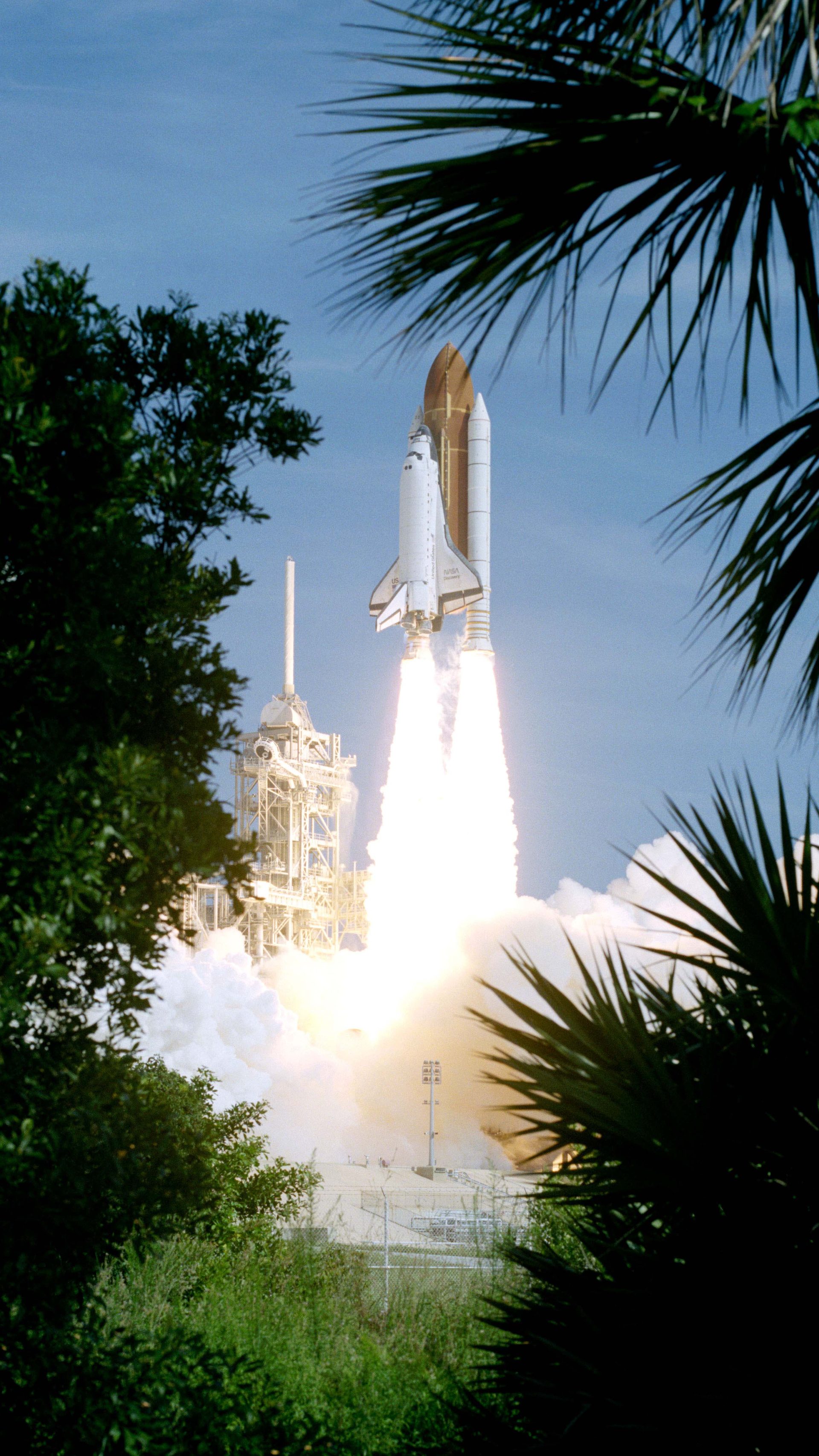 A rocket at lift-off viewed through palm trees on the left and right.